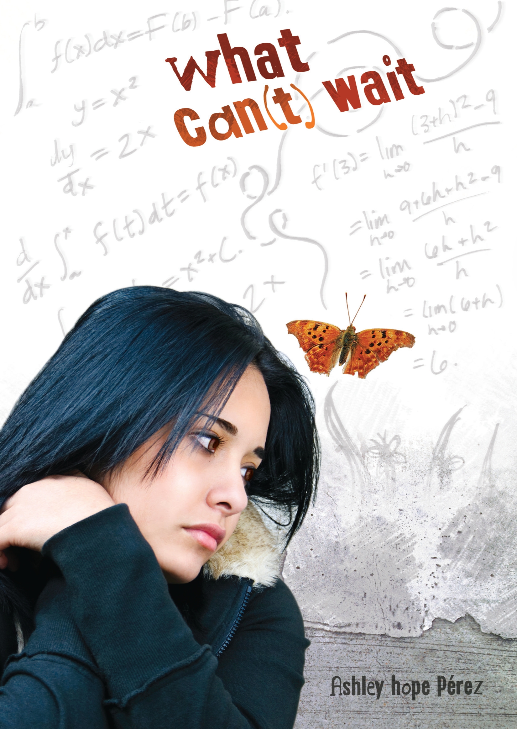 This image is the cover for the book What Can't Wait