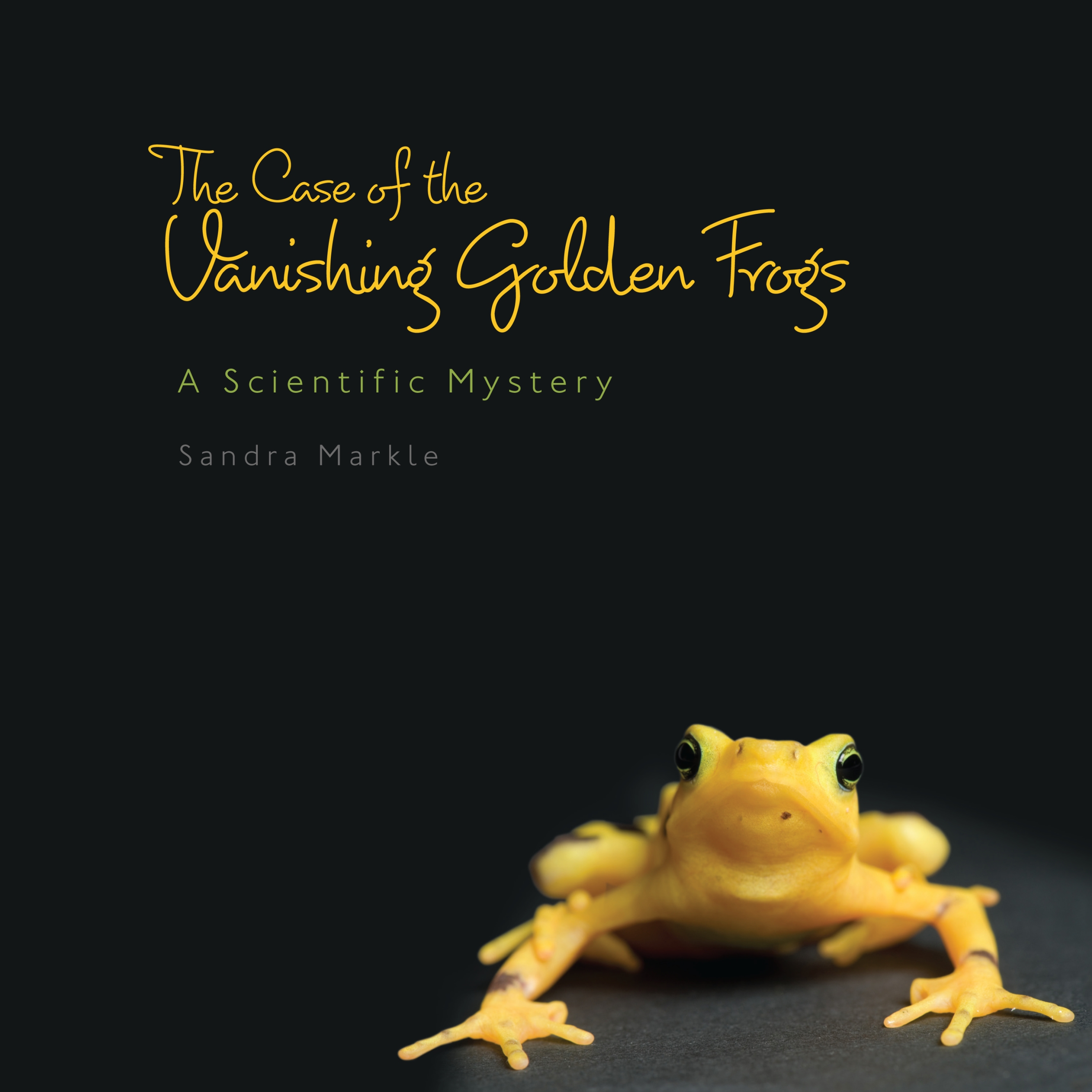 This image is the cover for the book Case of Vanishing Golden Frogs, Sandra Markle's Science Discoveries