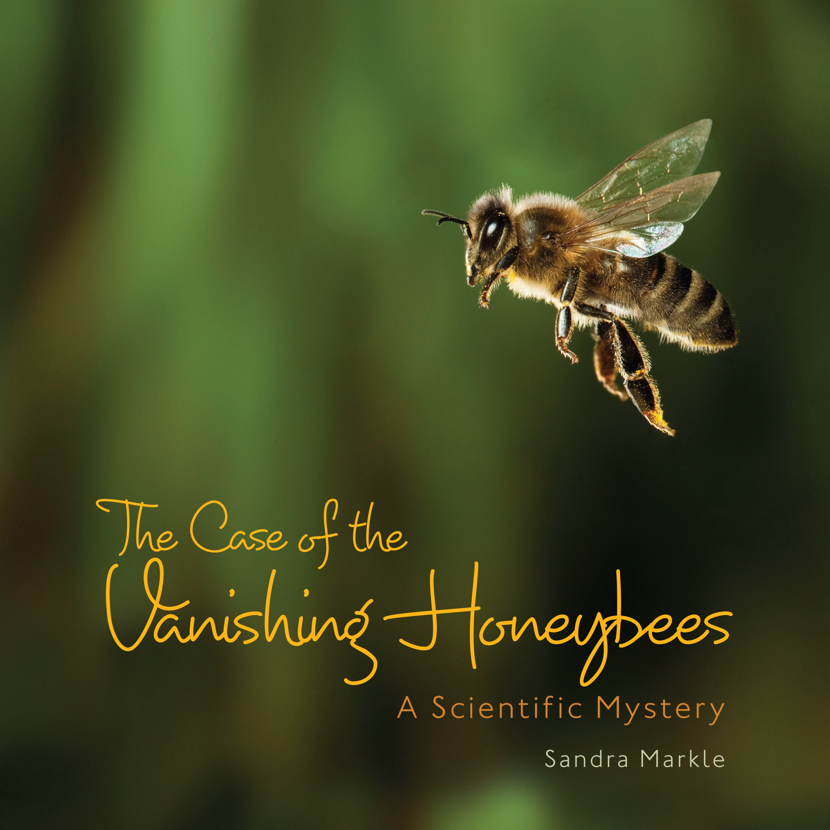 This image is the cover for the book Case of Vanishing Honeybees, Sandra Markle's Science Discoveries