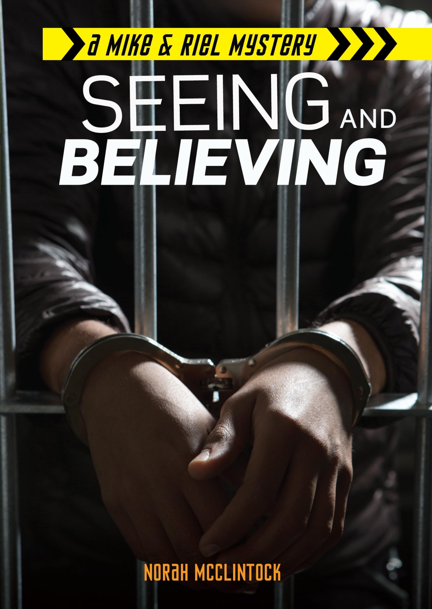 This image is the cover for the book Seeing and Believing, Mike & Riel Mysteries