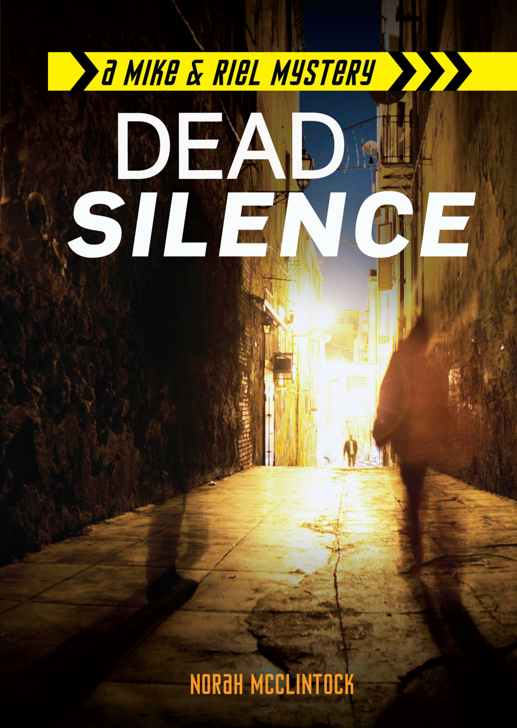This image is the cover for the book Dead Silence, Mike & Riel Mysteries