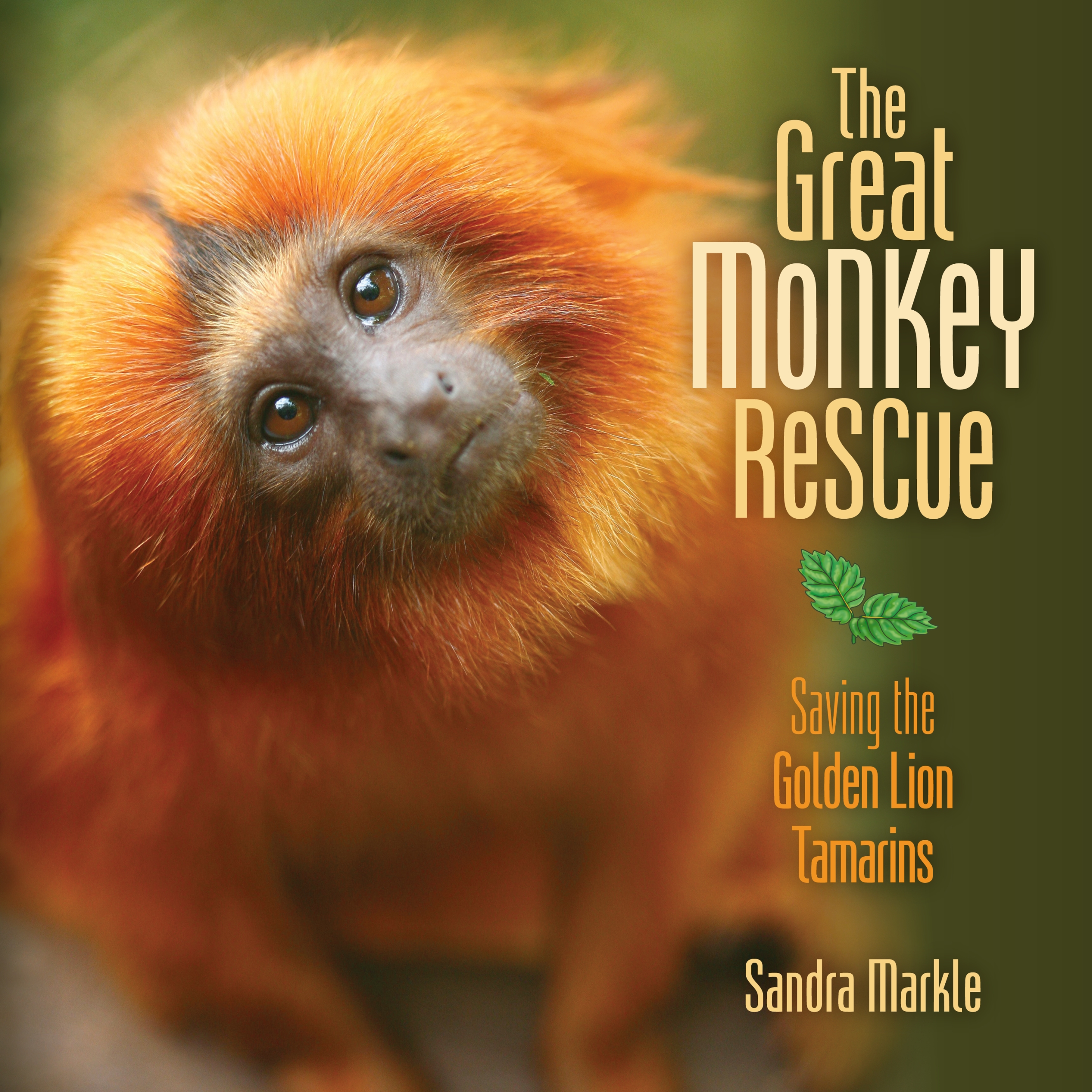 This image is the cover for the book Great Monkey Rescue, Sandra Markle's Science Discoveries