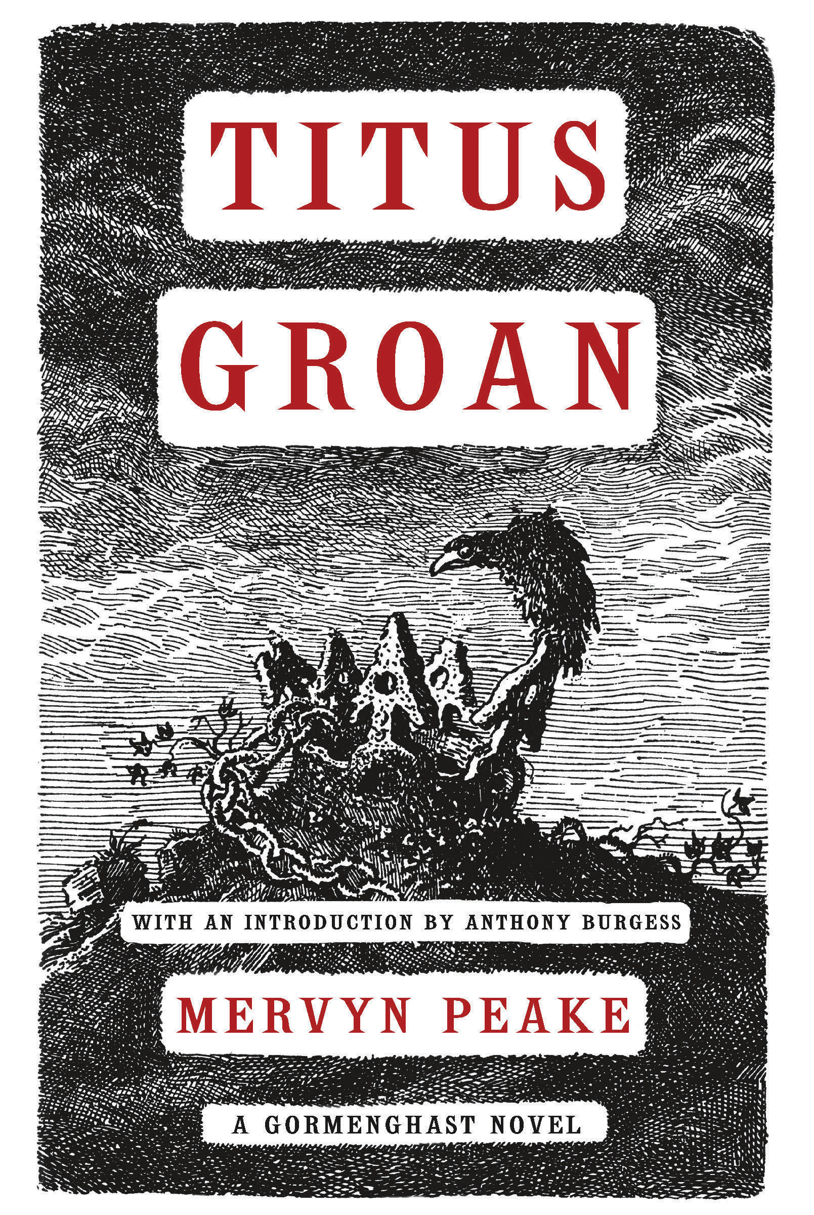 This image is the cover for the book Titus Groan, The Gormenghast Trilogy