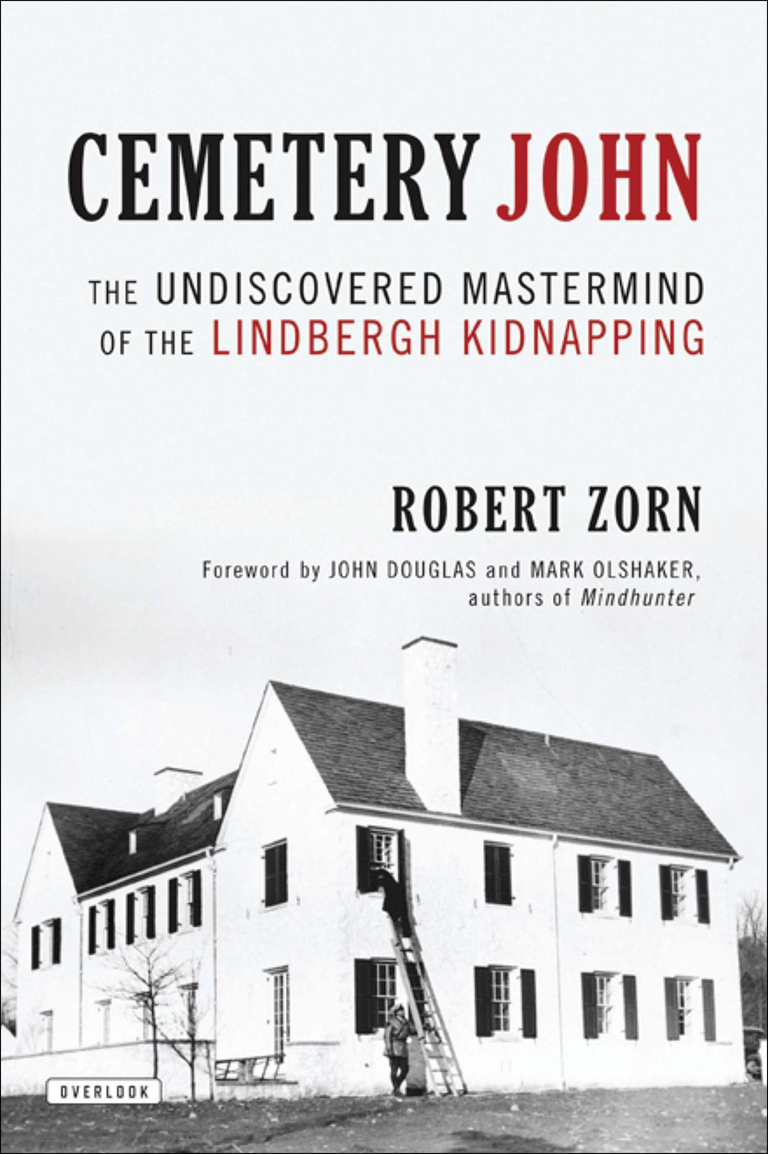 This image is the cover for the book Cemetery John
