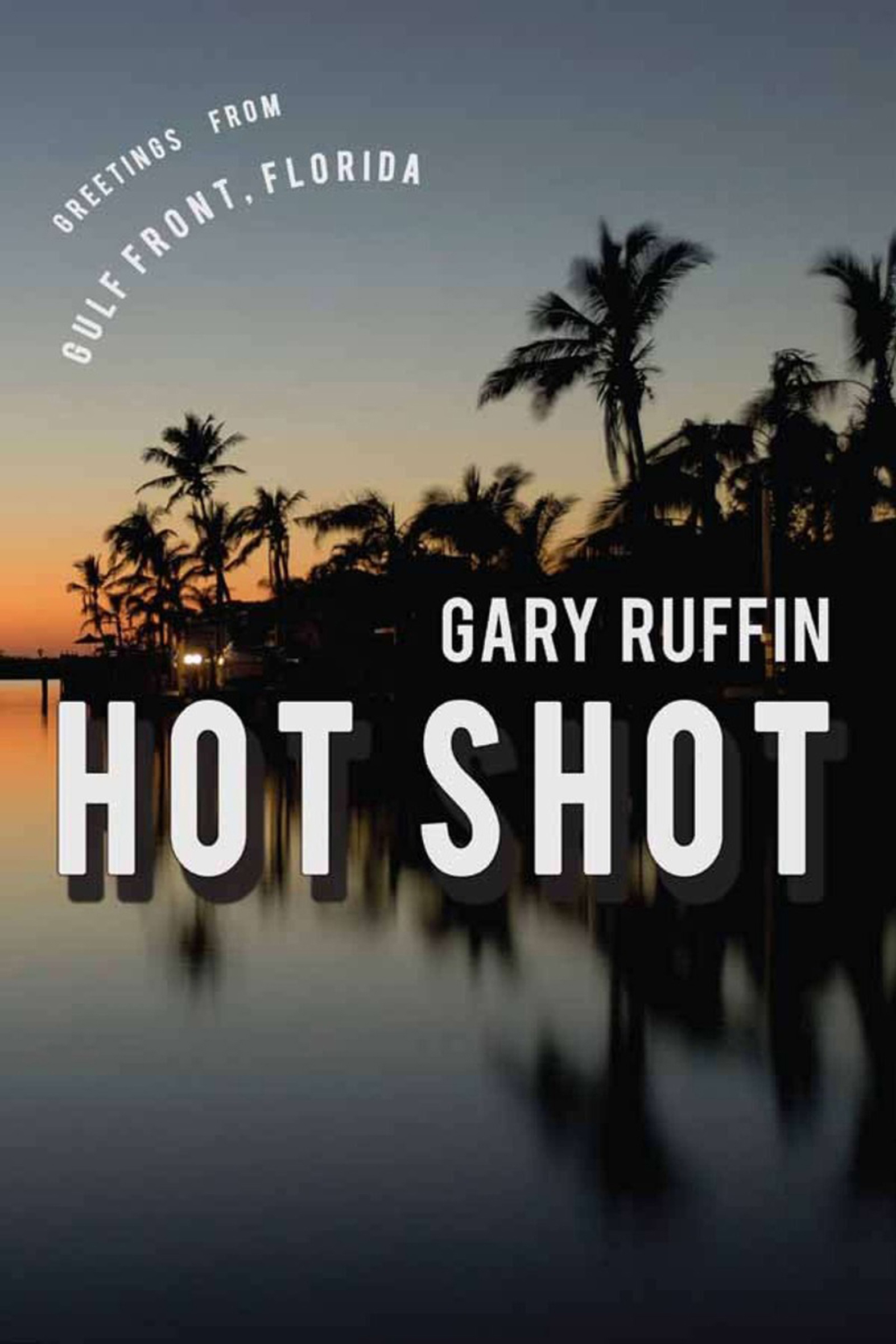 This image is the cover for the book Hot Shot