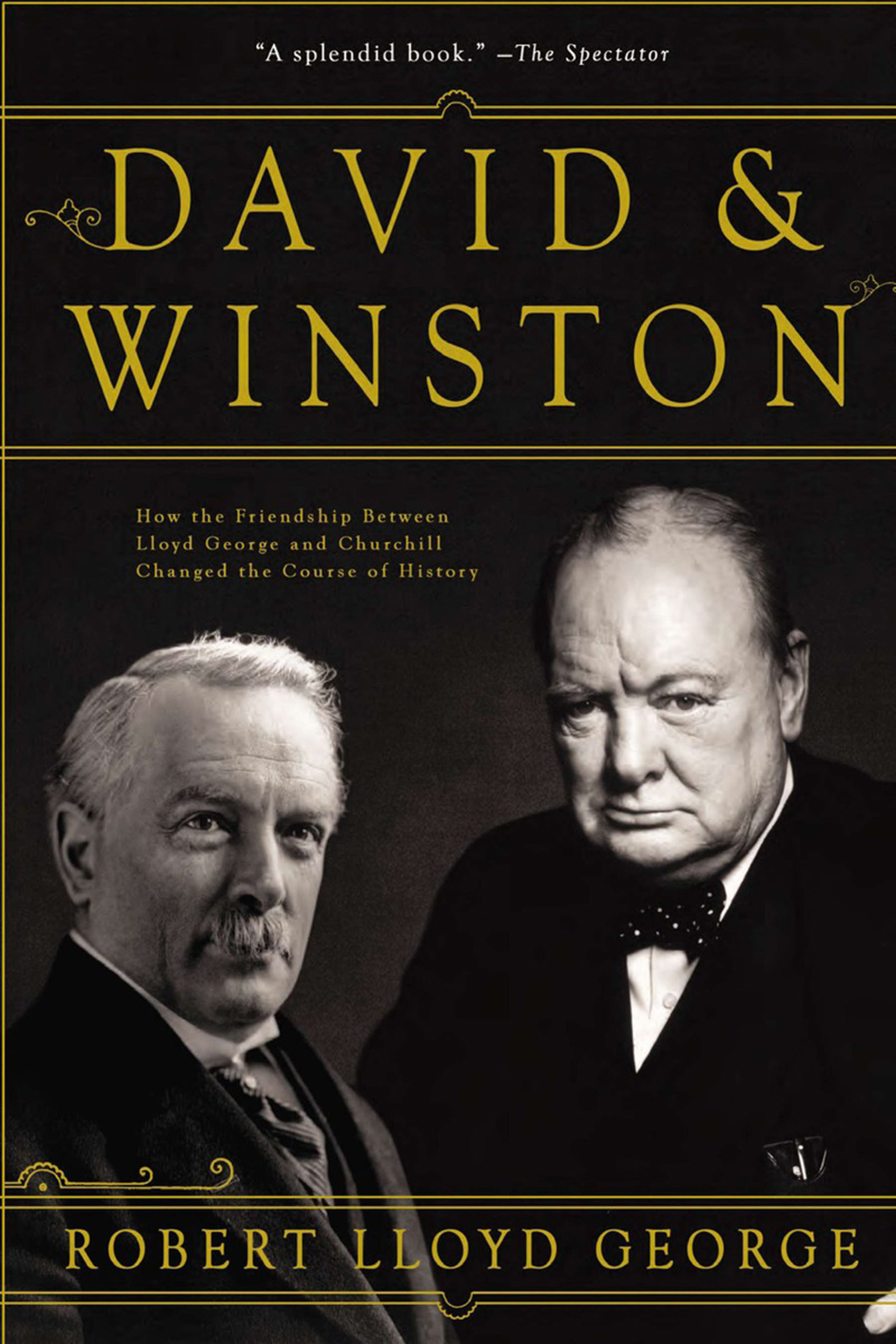 This image is the cover for the book David & Winston