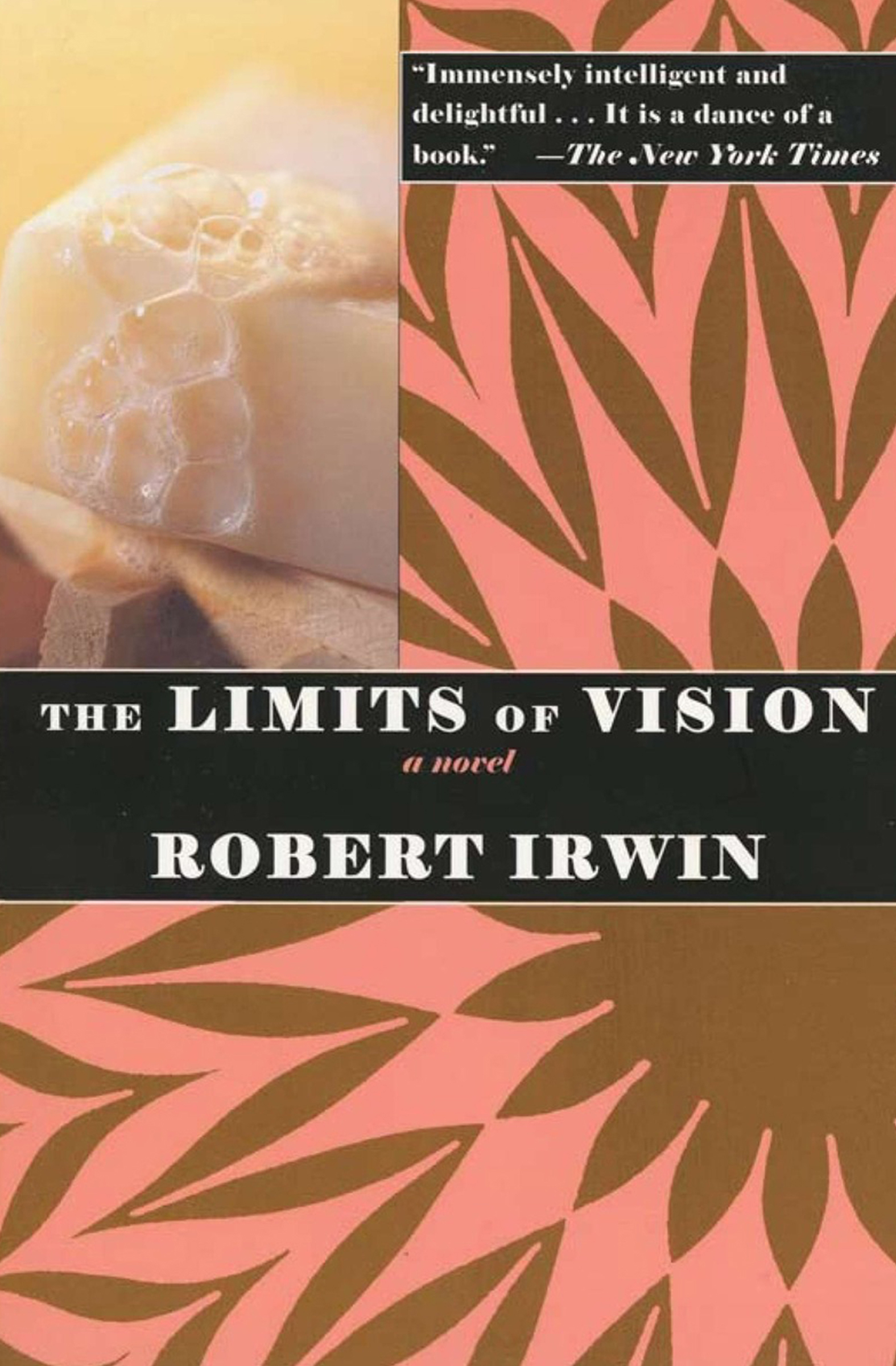 This image is the cover for the book Limits of Vision