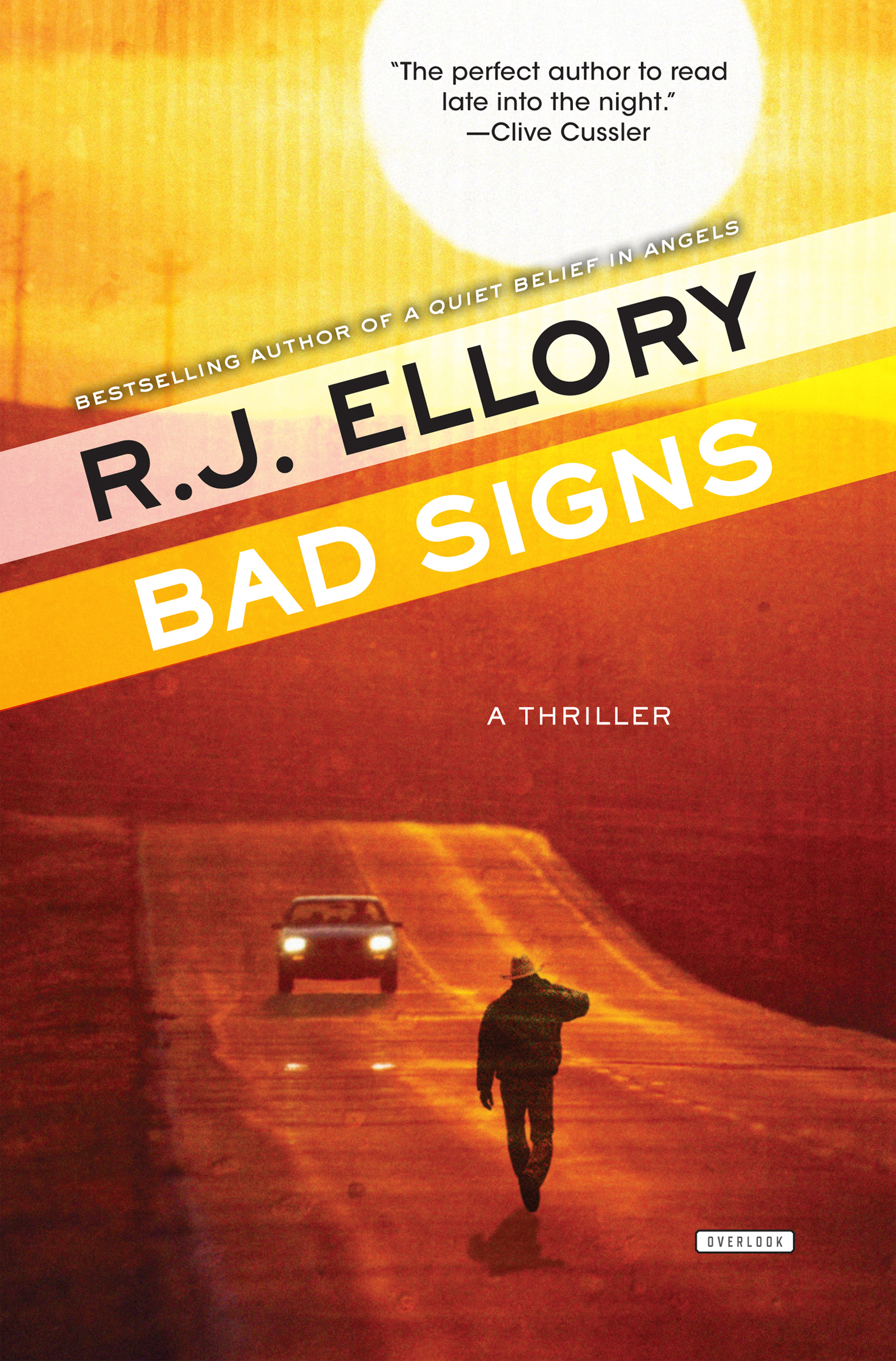 This image is the cover for the book Bad Signs