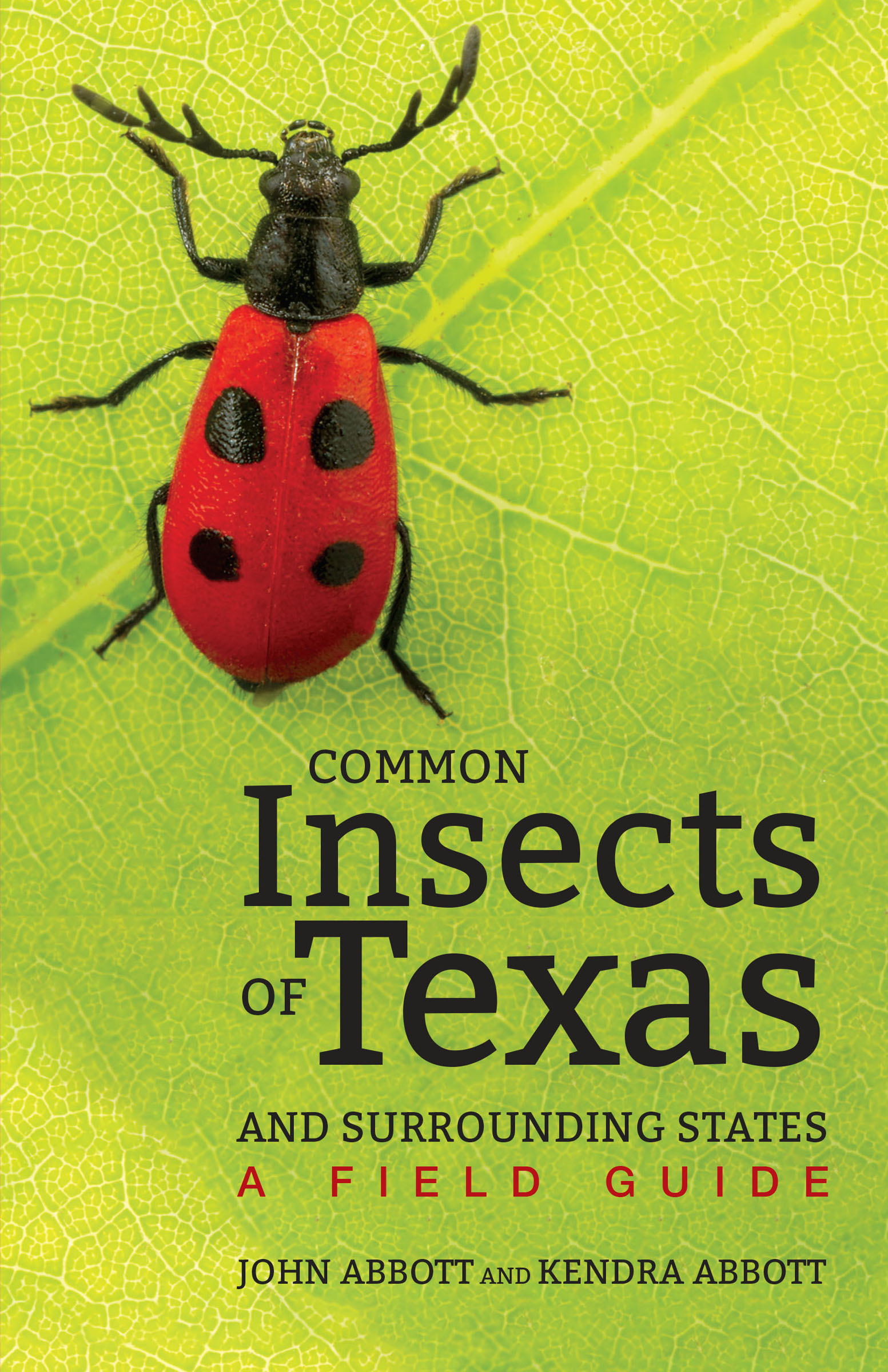 This image is the cover for the book Common Insects of Texas and Surrounding States