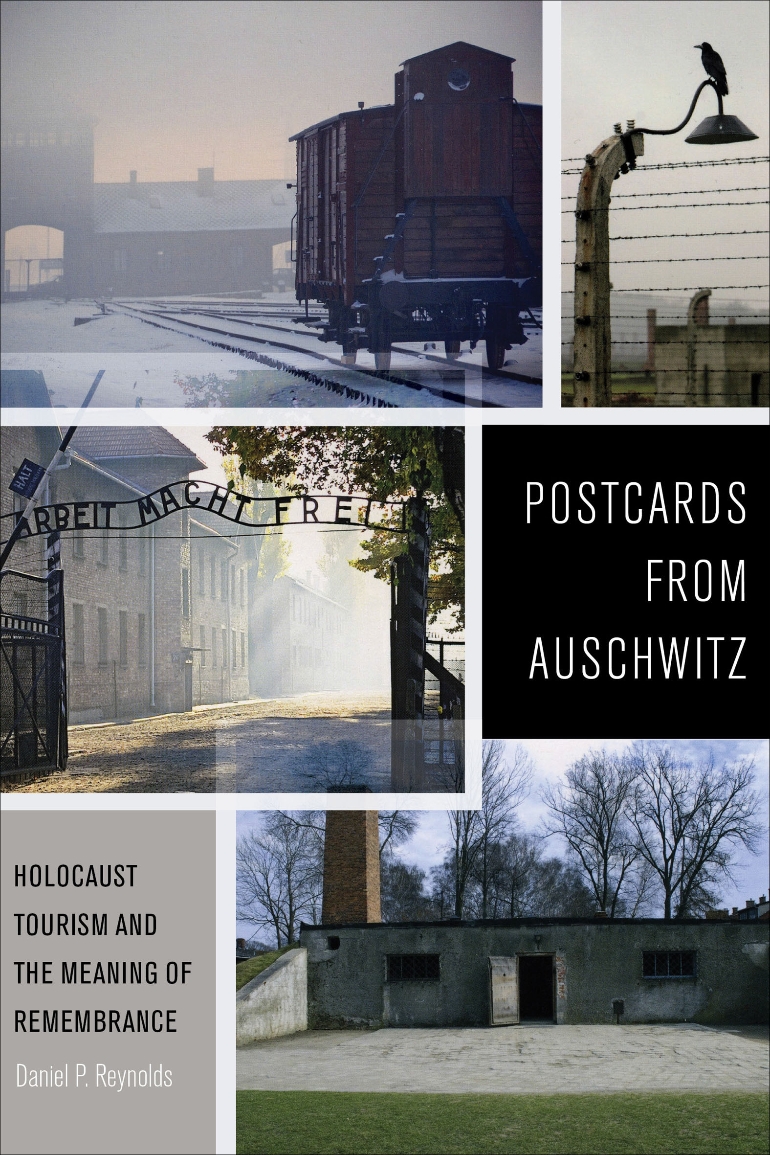 This image is the cover for the book Postcards from Auschwitz
