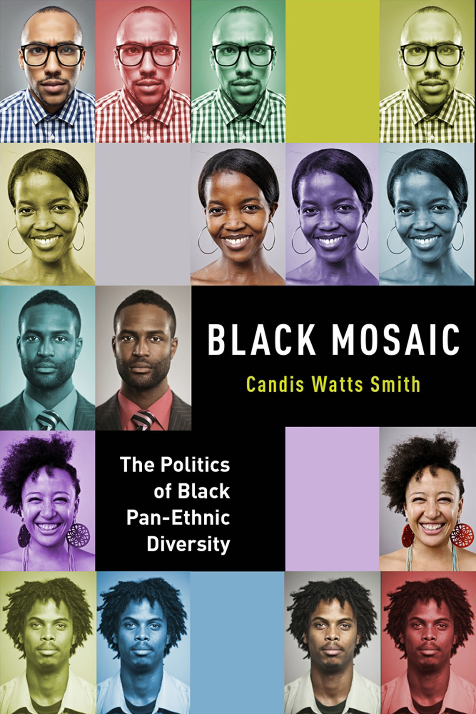 This image is the cover for the book Black Mosaic