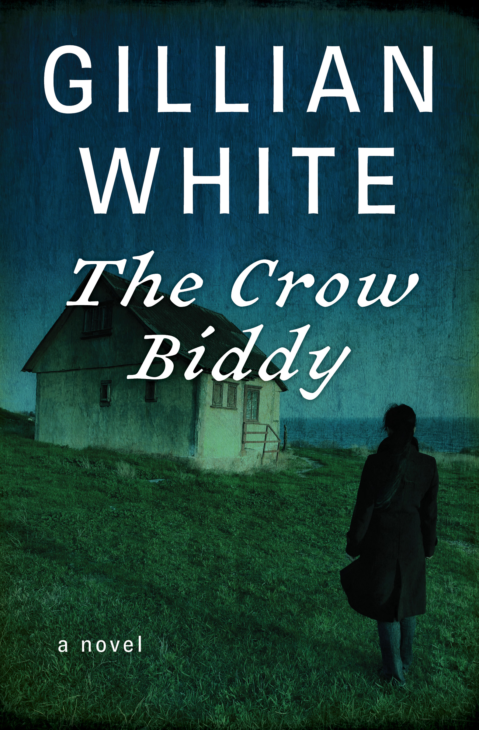 This image is the cover for the book Crow Biddy
