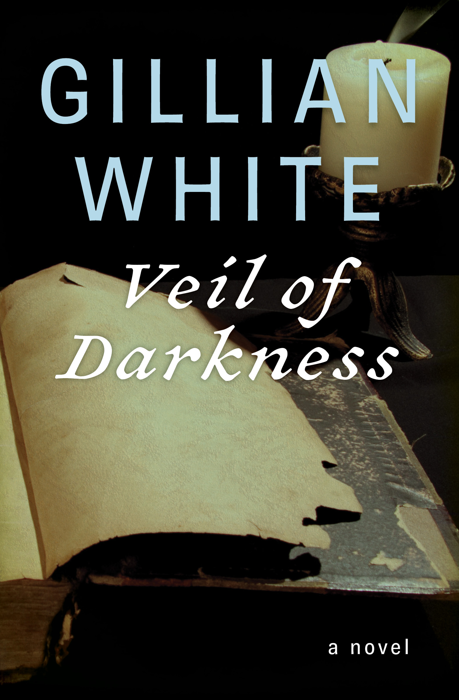 This image is the cover for the book Veil of Darkness