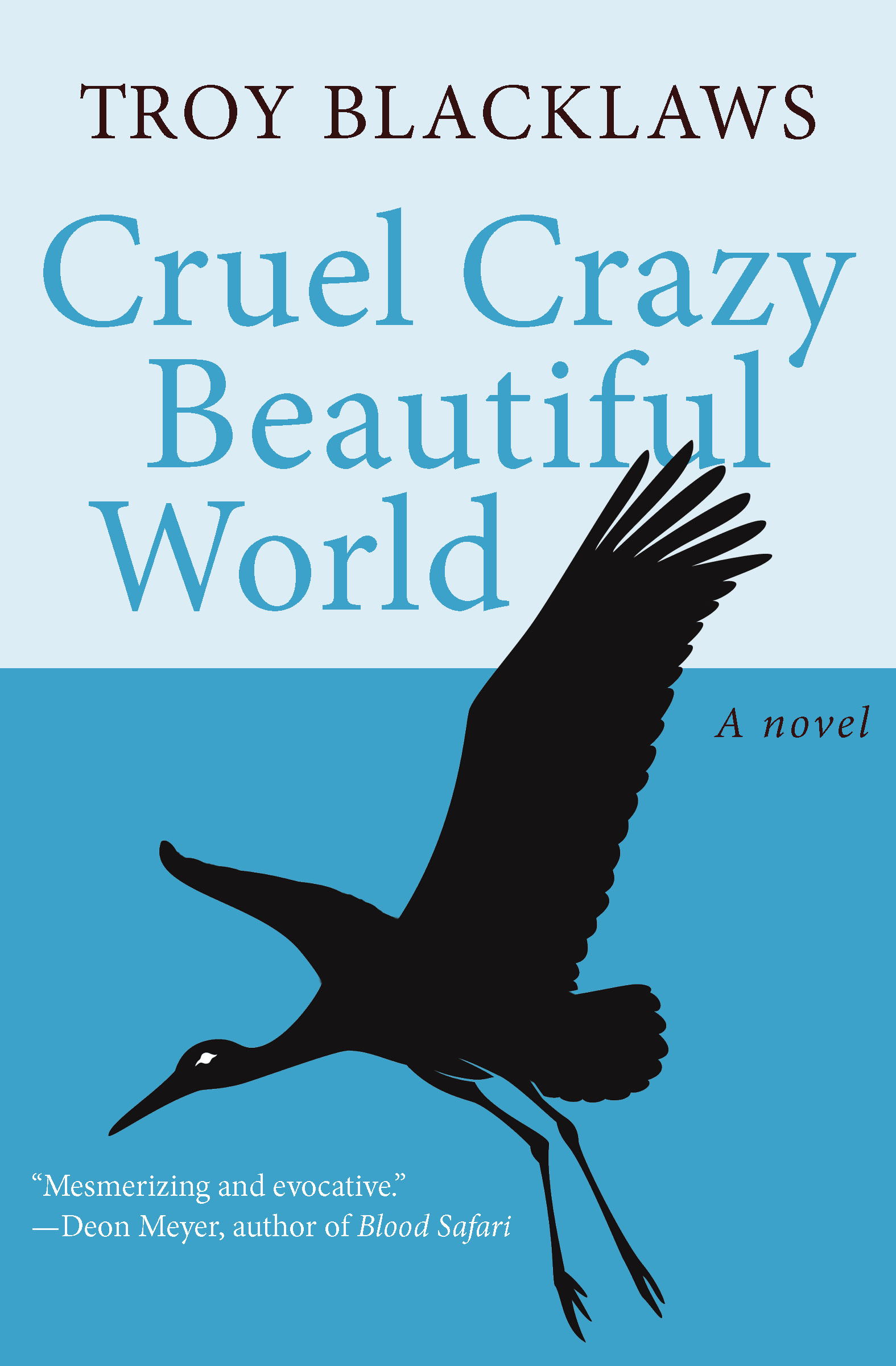 This image is the cover for the book Cruel Crazy Beautiful World