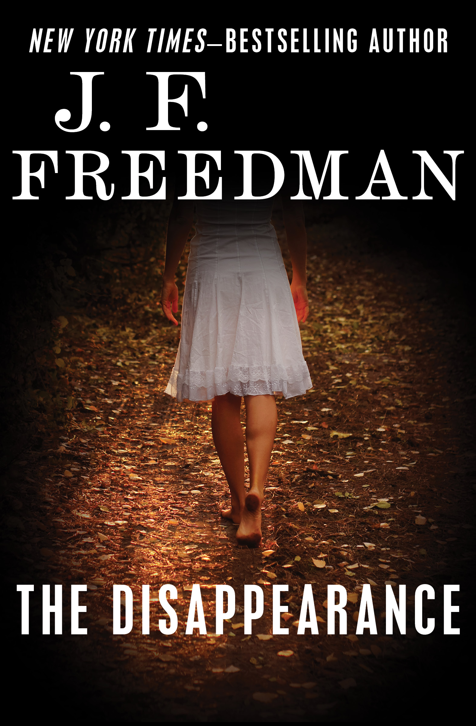 This image is the cover for the book Disappearance, The Luke Garrison Series