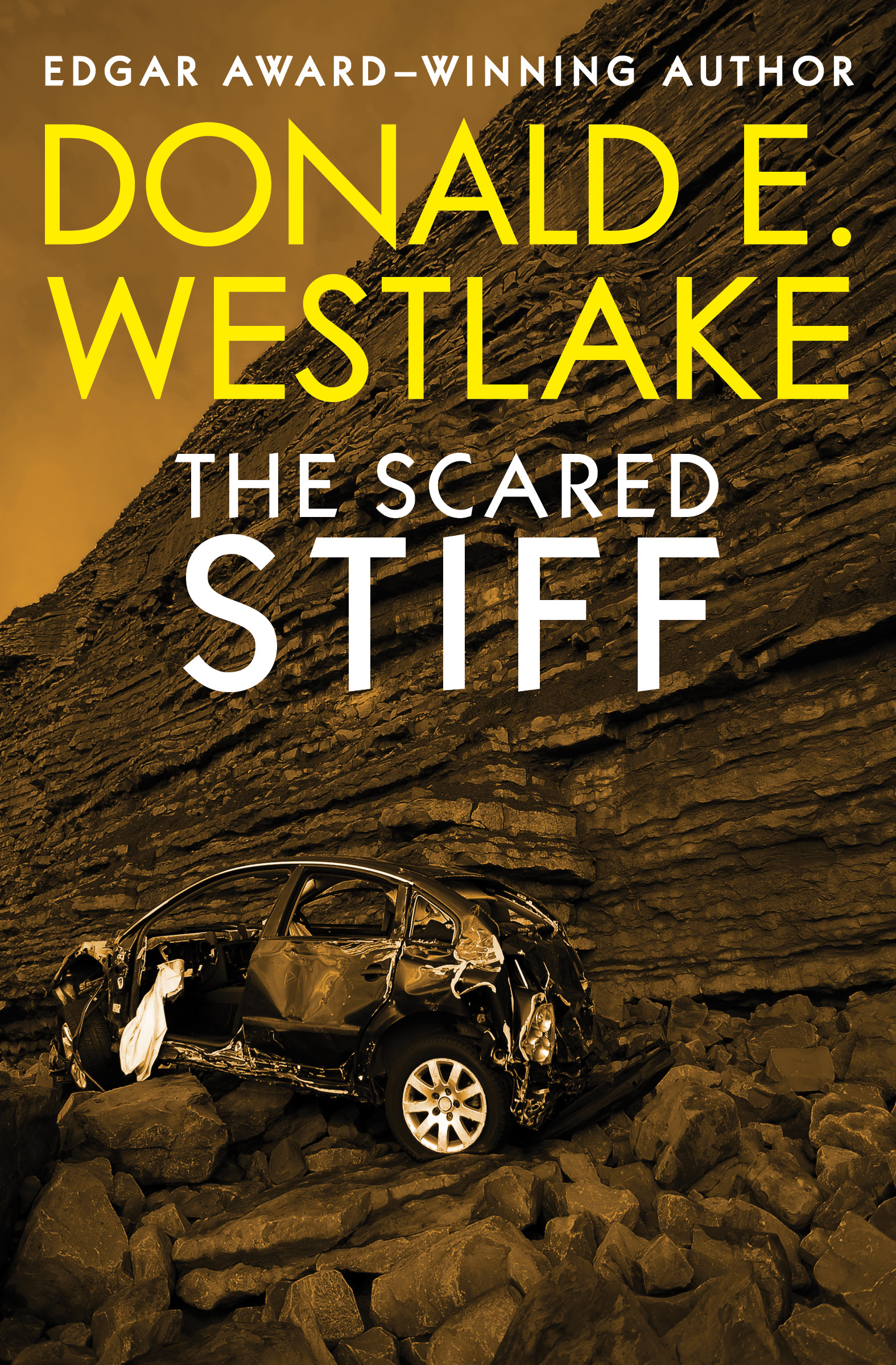 This image is the cover for the book Scared Stiff