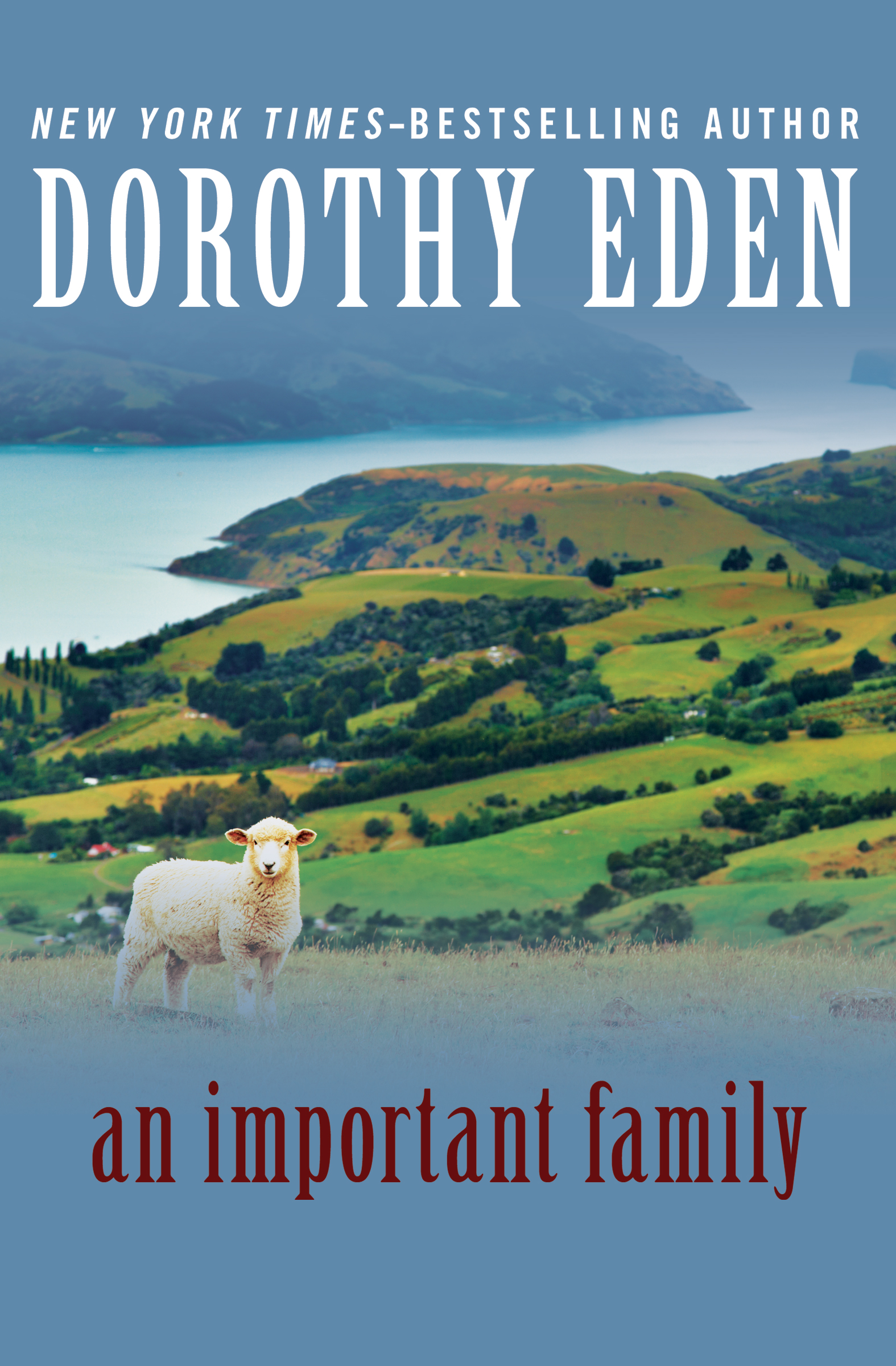 This image is the cover for the book Important Family