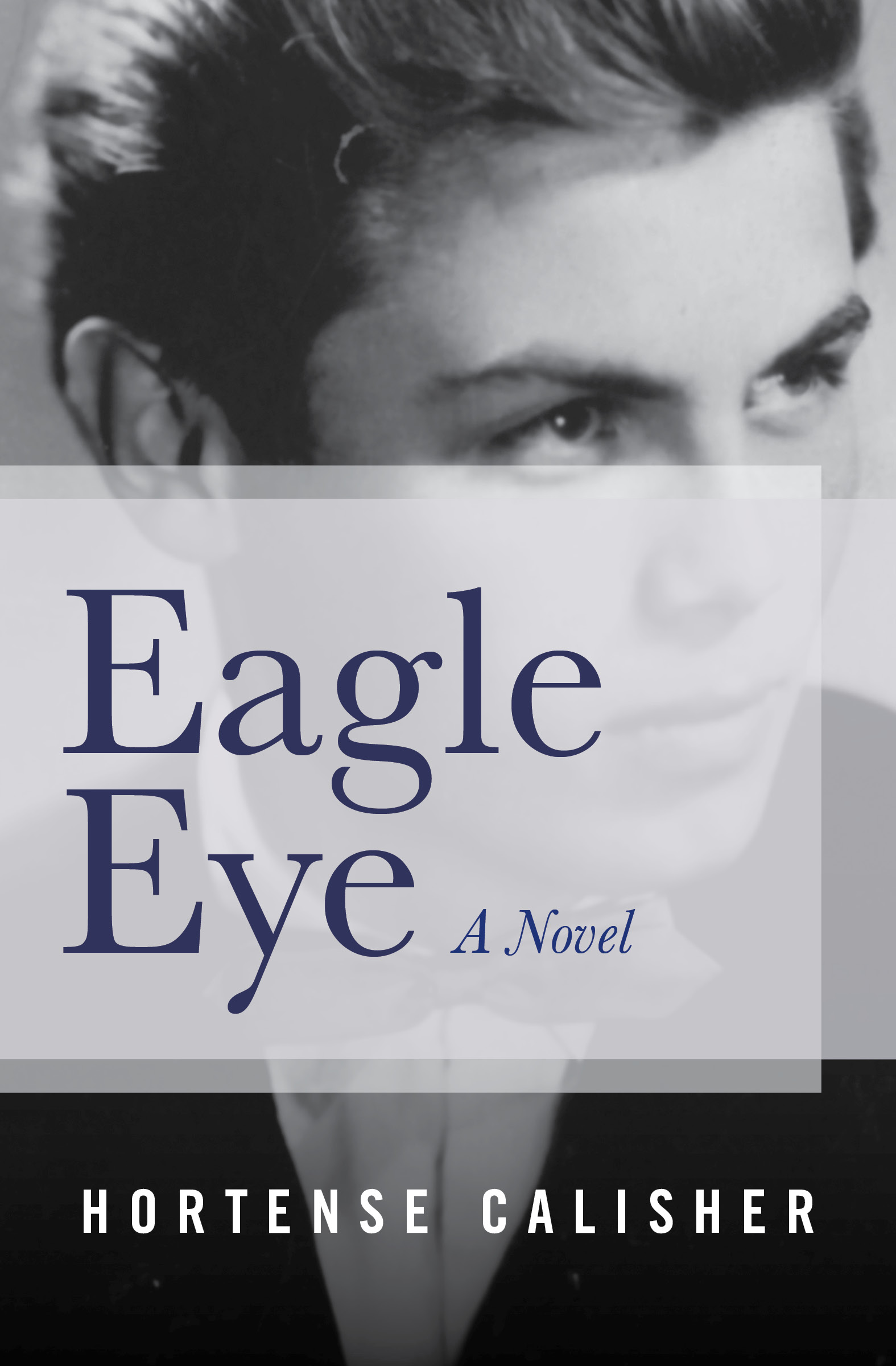 This image is the cover for the book Eagle Eye