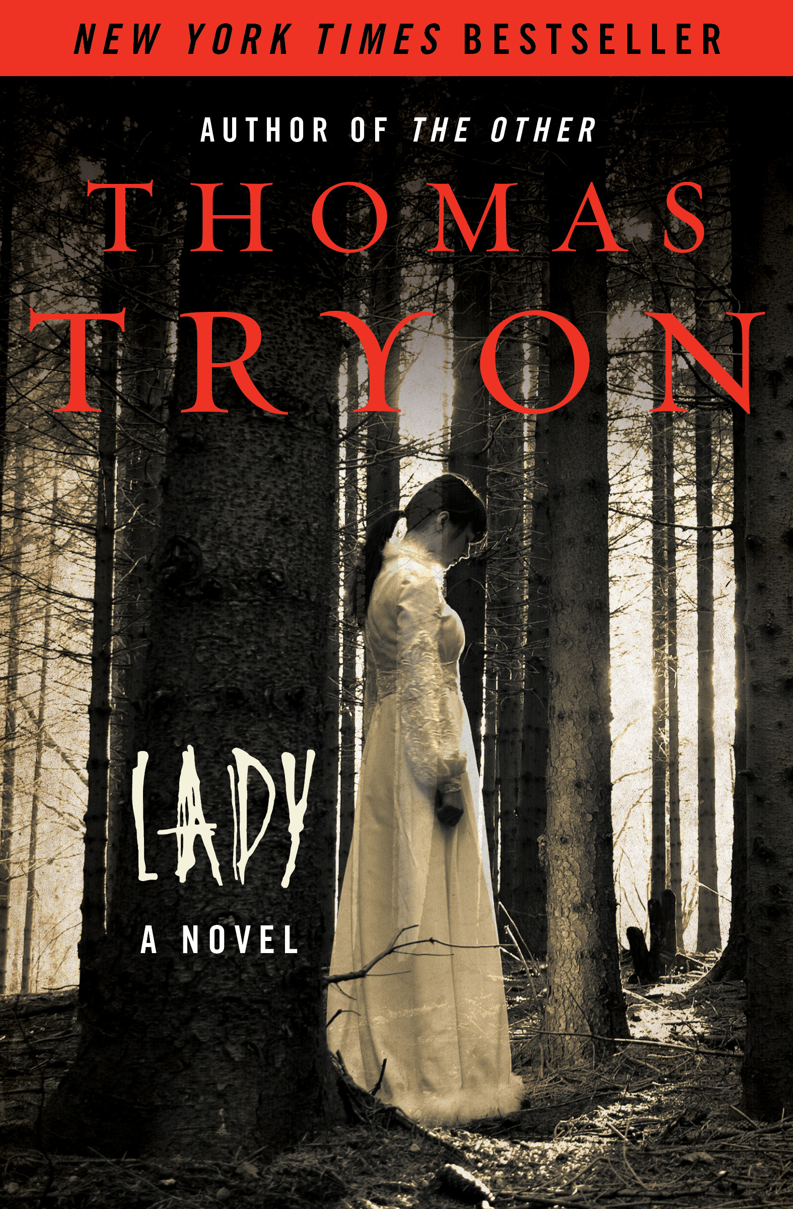 This image is the cover for the book Lady