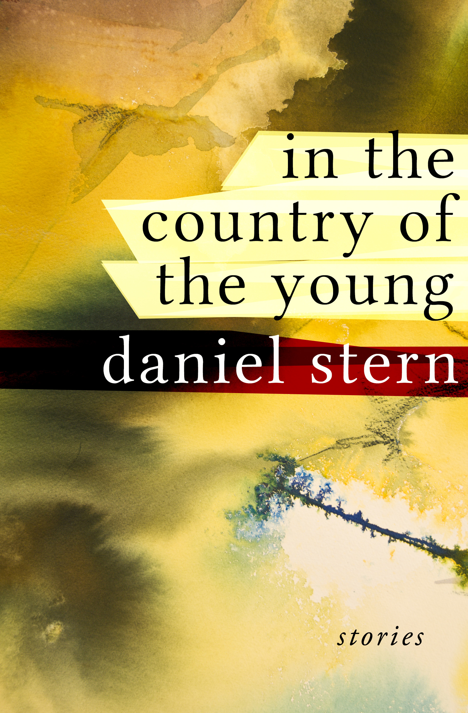 This image is the cover for the book In the Country of the Young