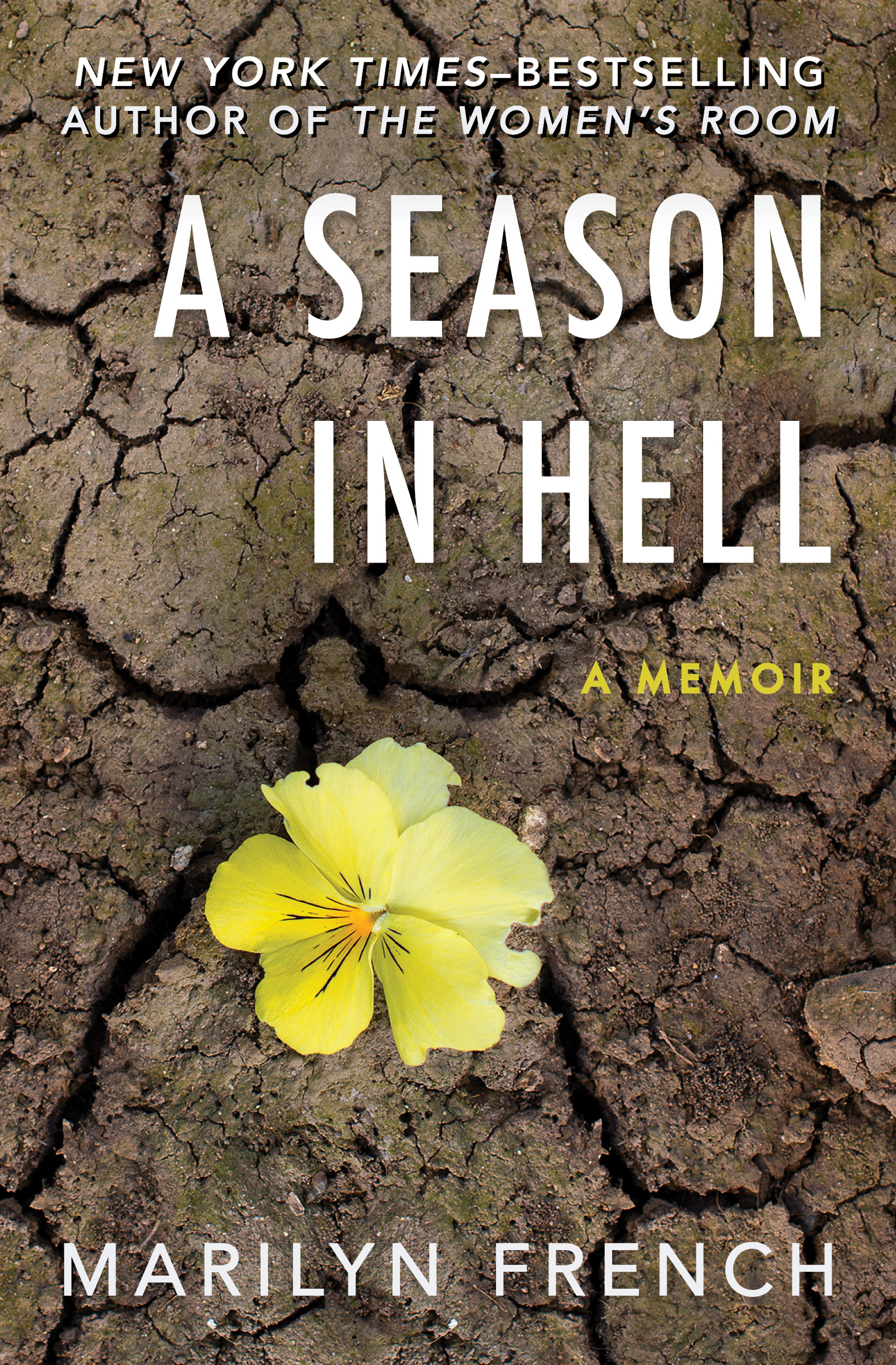 This image is the cover for the book Season in Hell