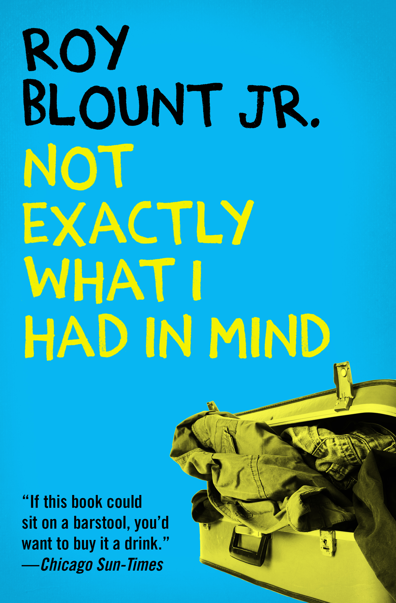 This image is the cover for the book Not Exactly What I Had in Mind