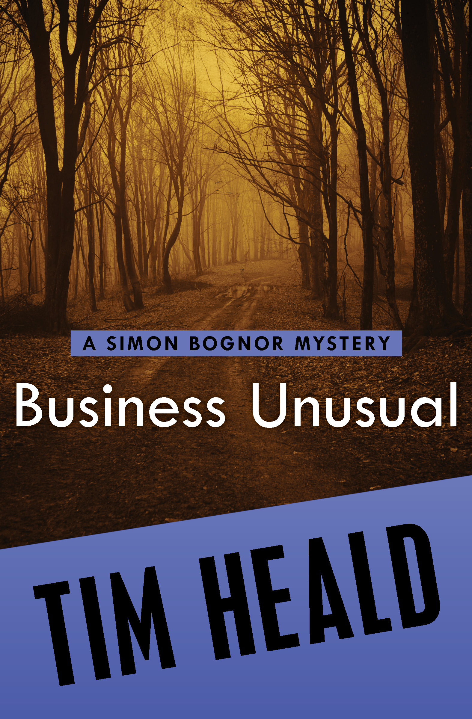 This image is the cover for the book Business Unusual, The Simon Bognor Mysteries