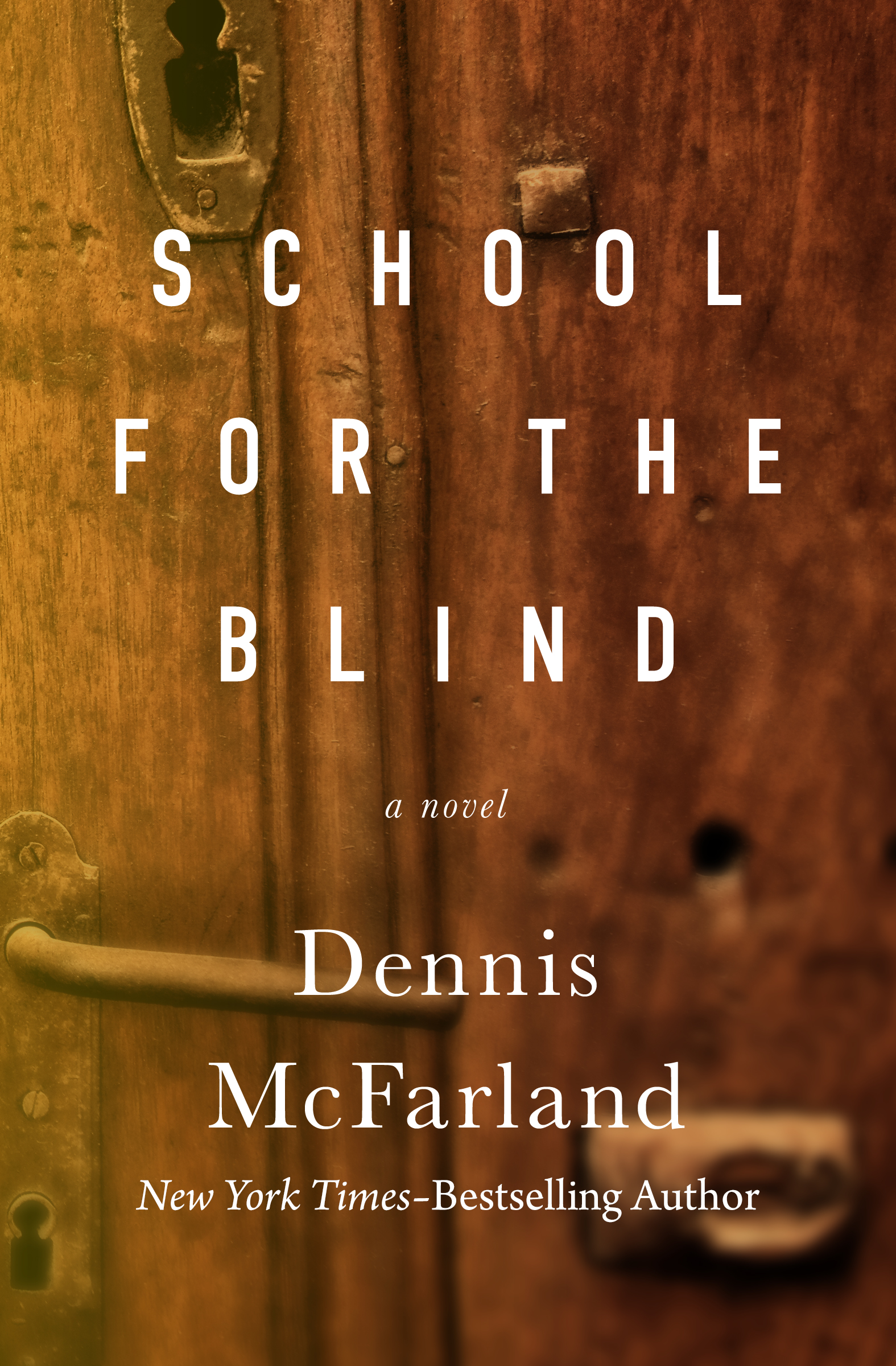 This image is the cover for the book School for the Blind