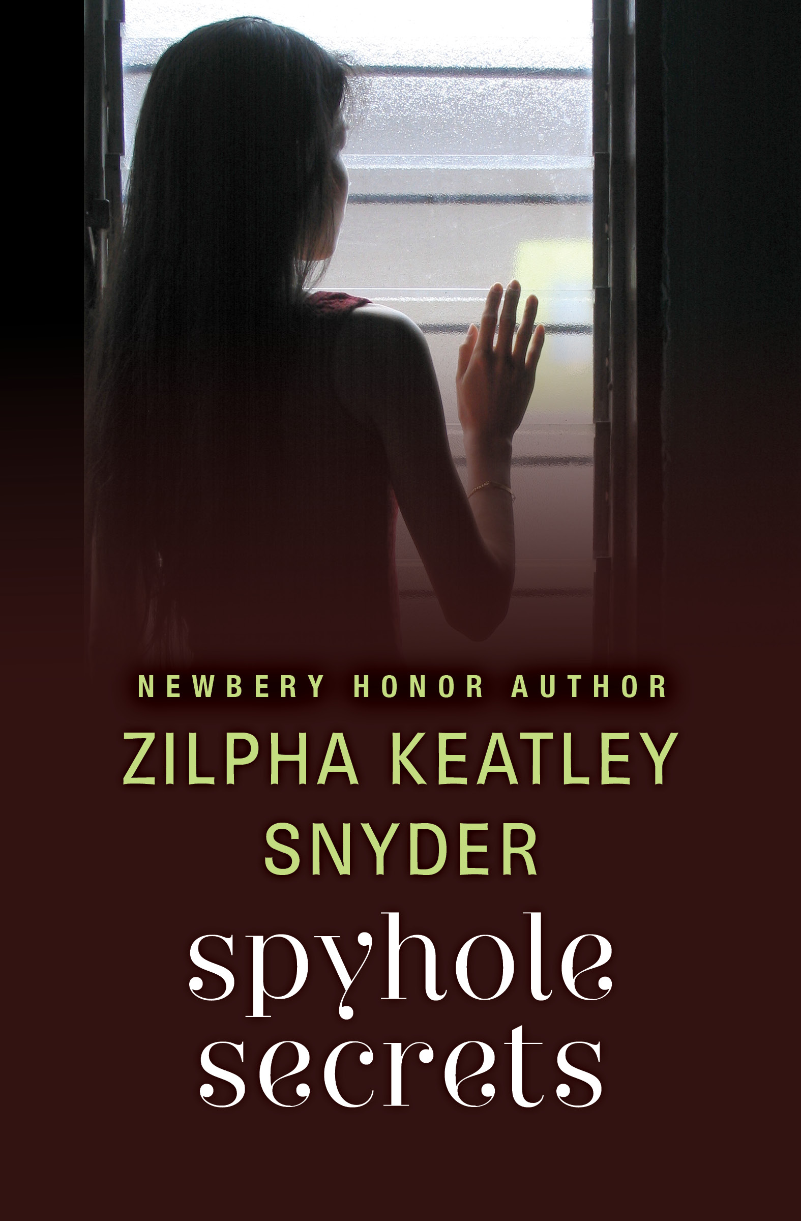 This image is the cover for the book Spyhole Secrets