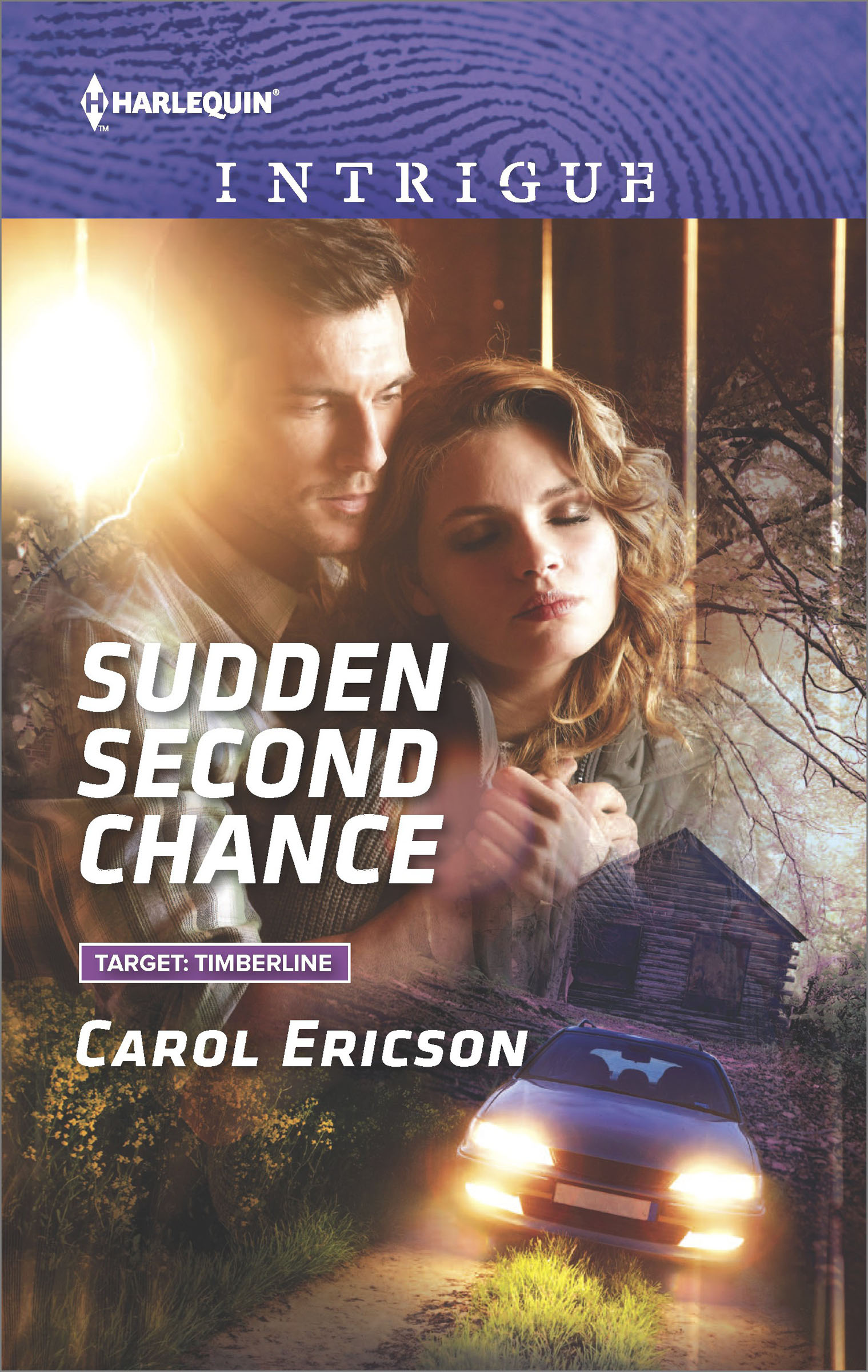 This image is the cover for the book Sudden Second Chance, Target: Timberline