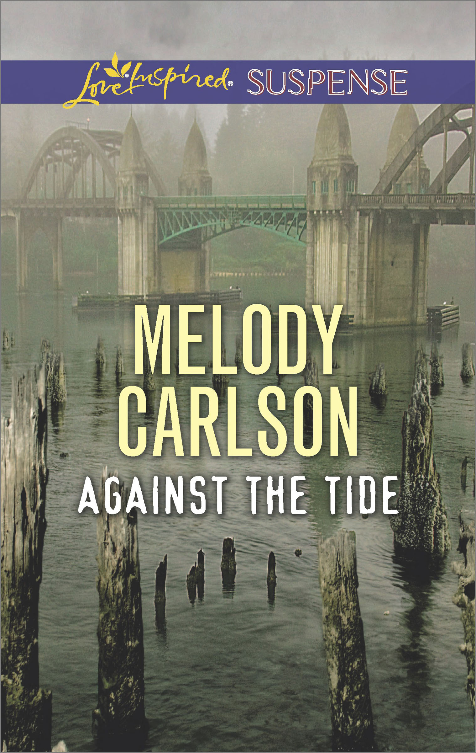 This image is the cover for the book Against the Tide