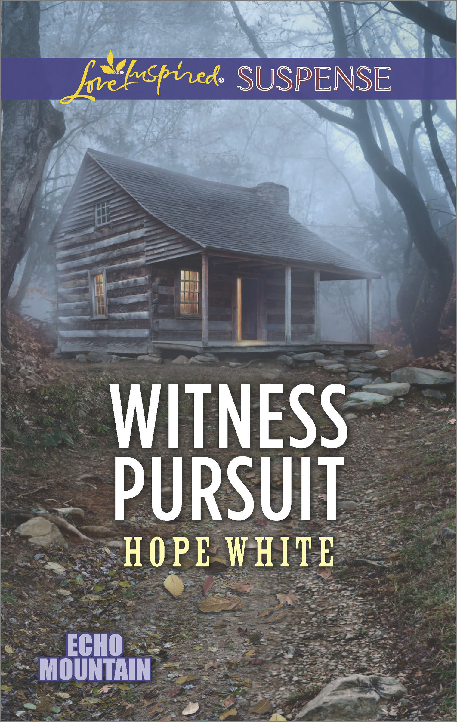 This image is the cover for the book Witness Pursuit, Echo Mountain