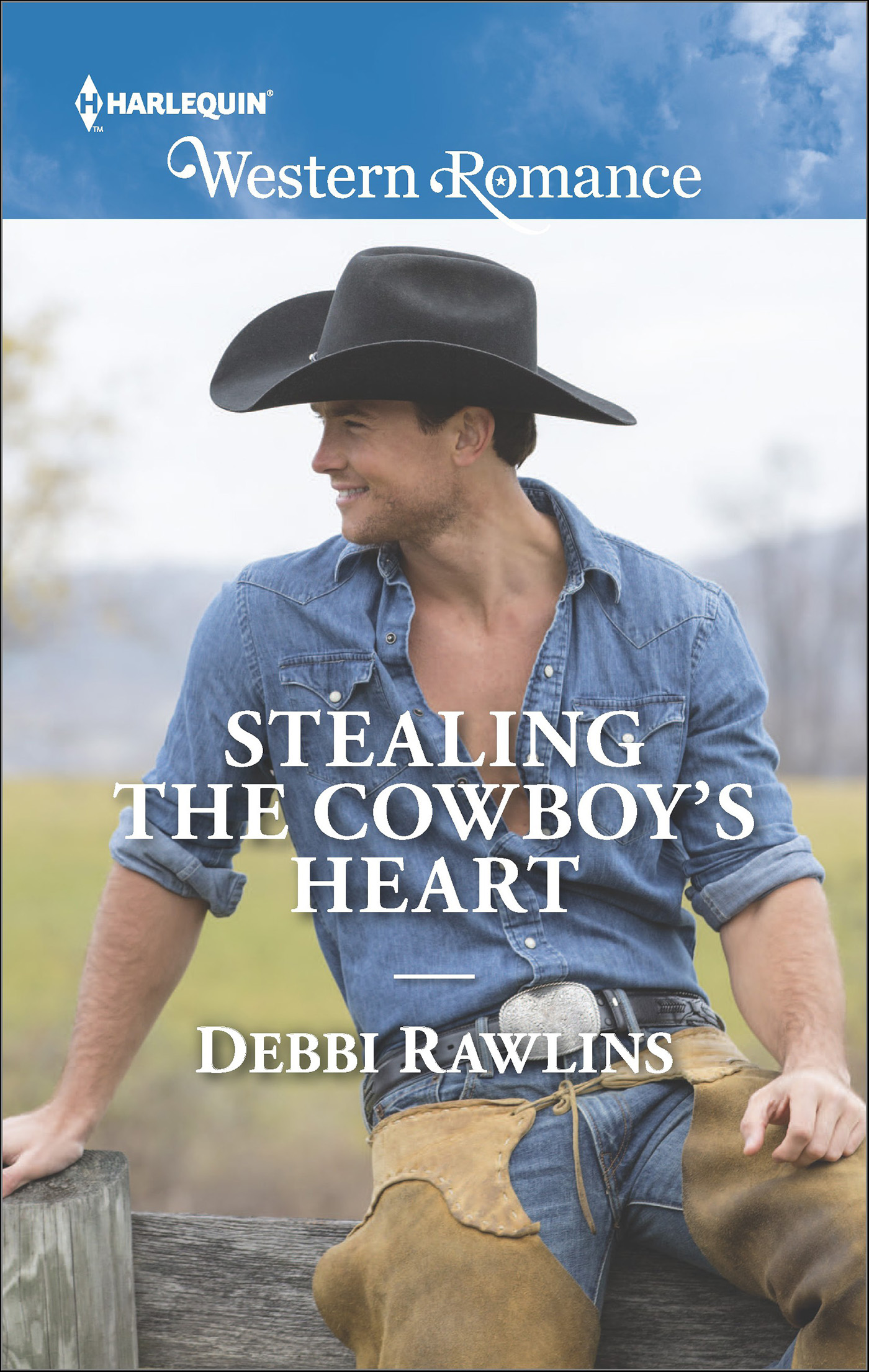 This image is the cover for the book Stealing the Cowboy's Heart, Made in Montana