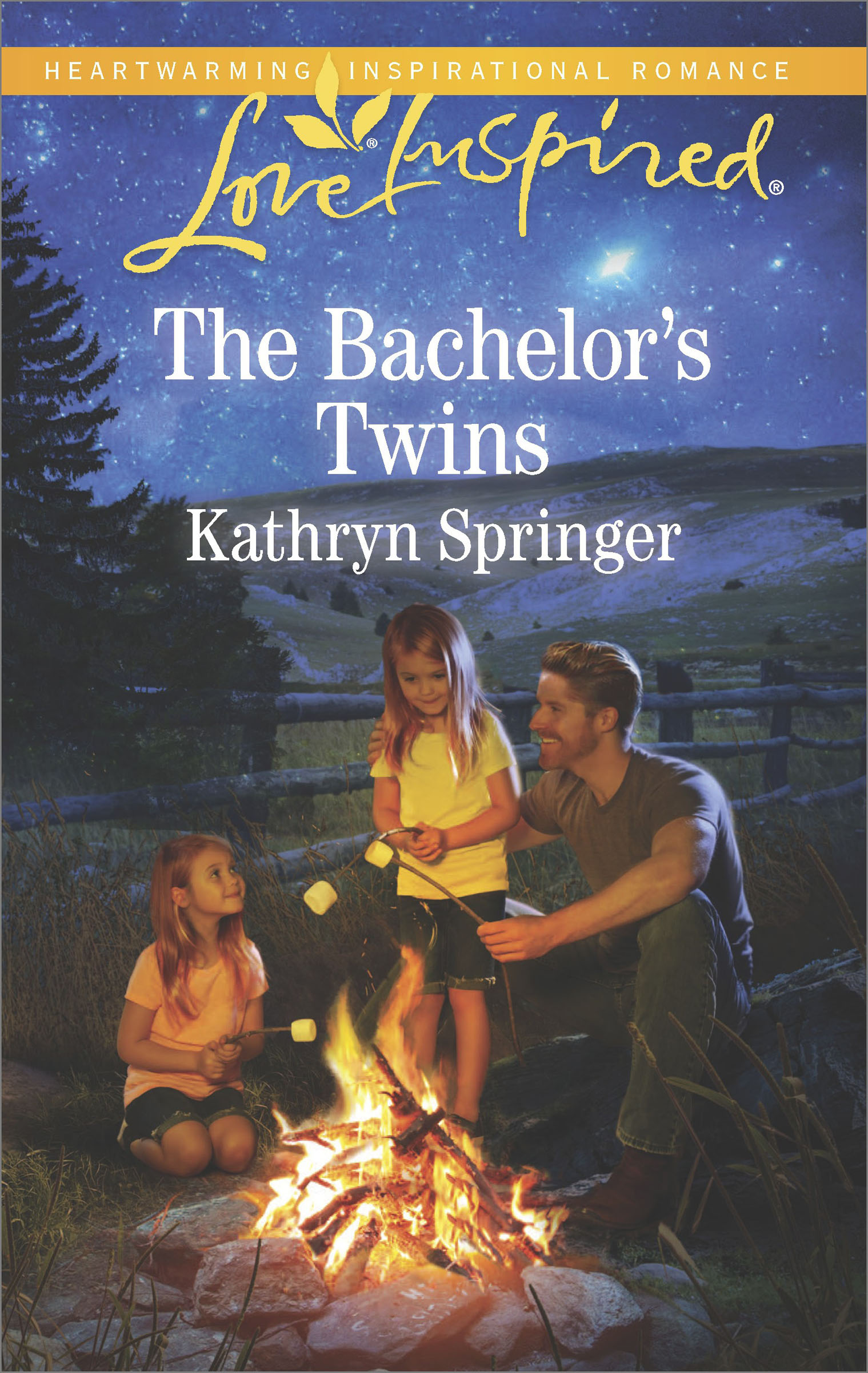 This image is the cover for the book Bachelor's Twins, Castle Falls