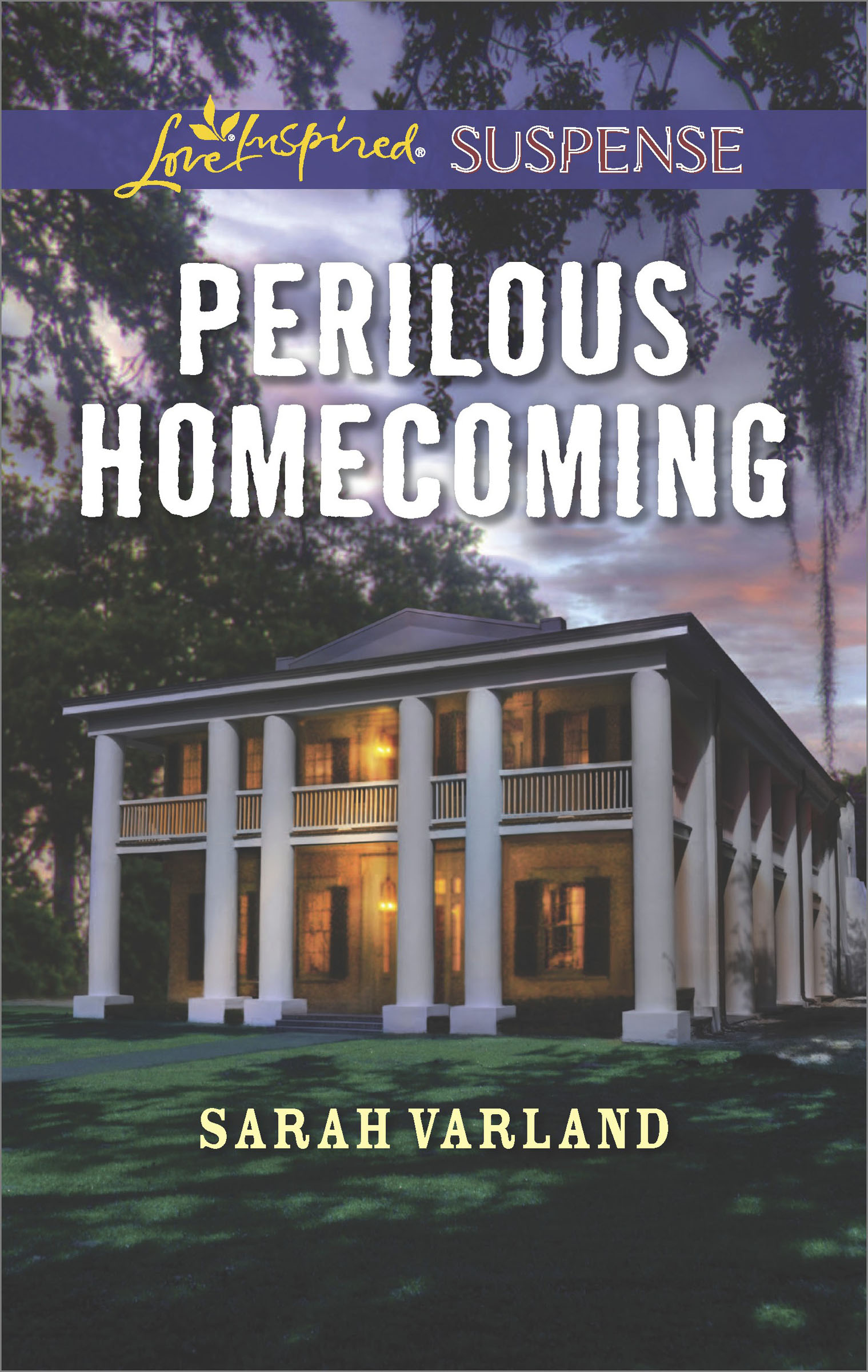 This image is the cover for the book Perilous Homecoming