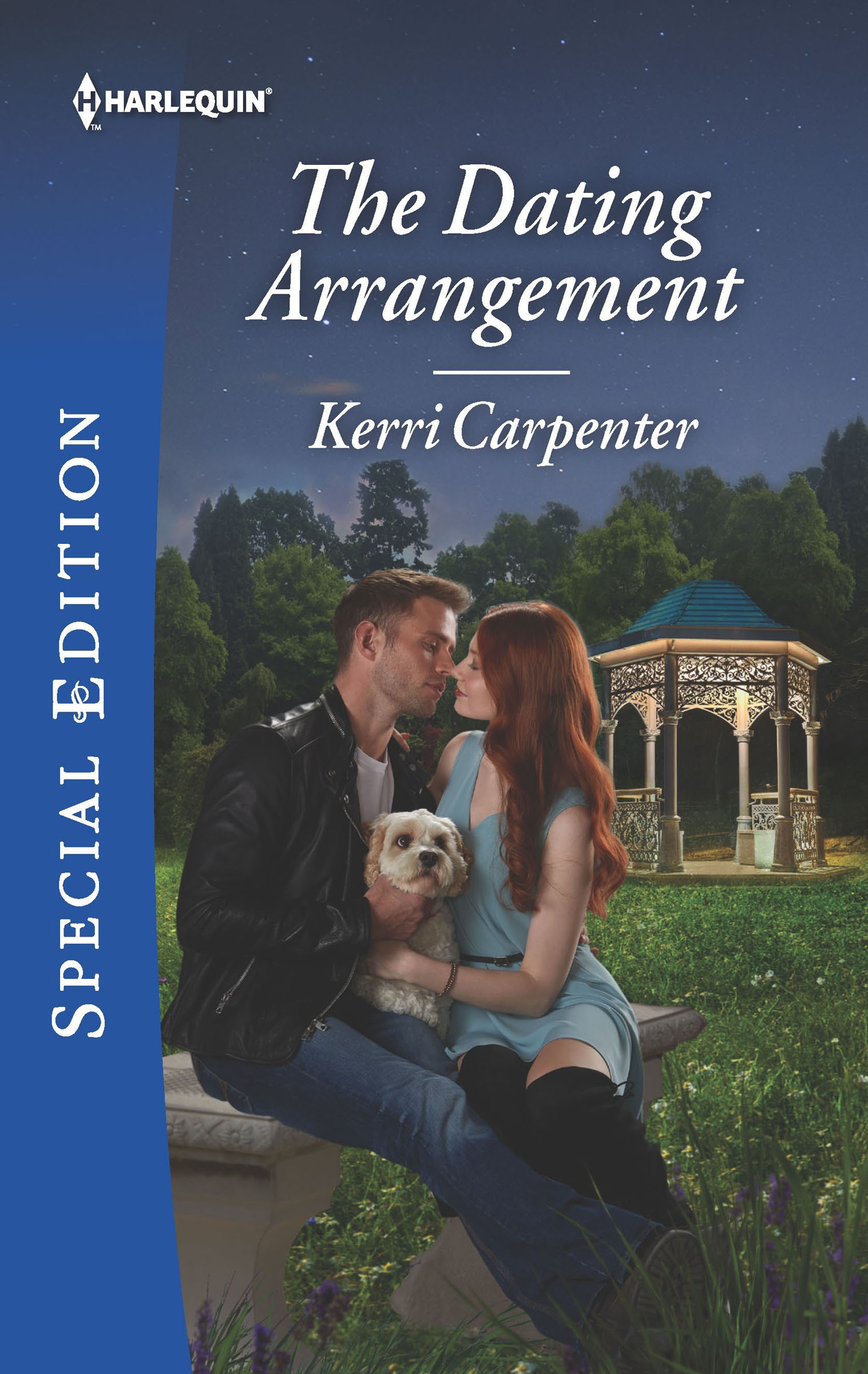 This image is the cover for the book Dating Arrangement, Something True