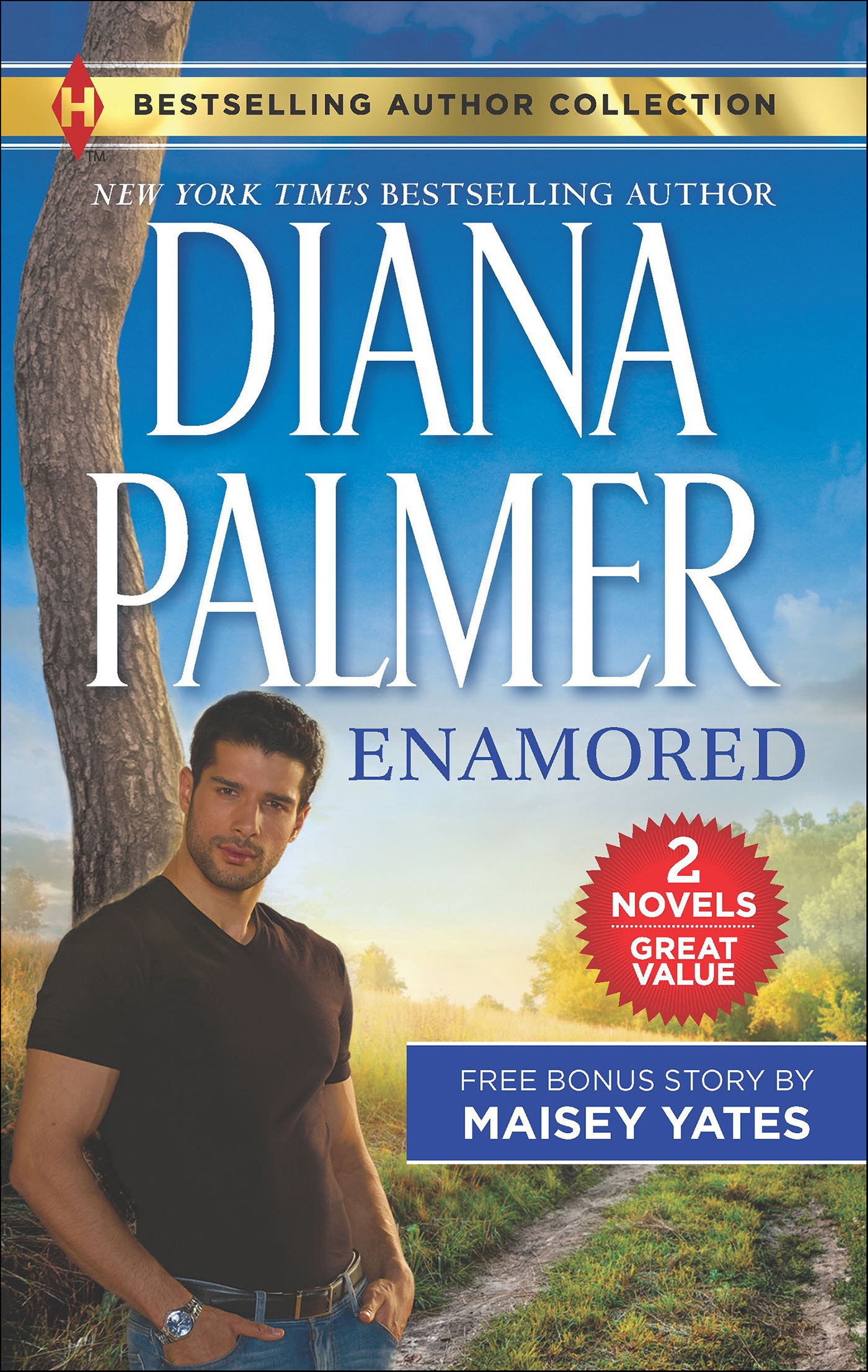 This image is the cover for the book Enamored