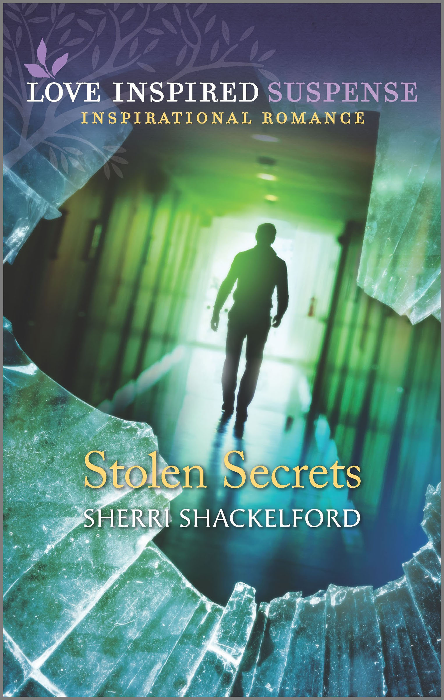 This image is the cover for the book Stolen Secrets