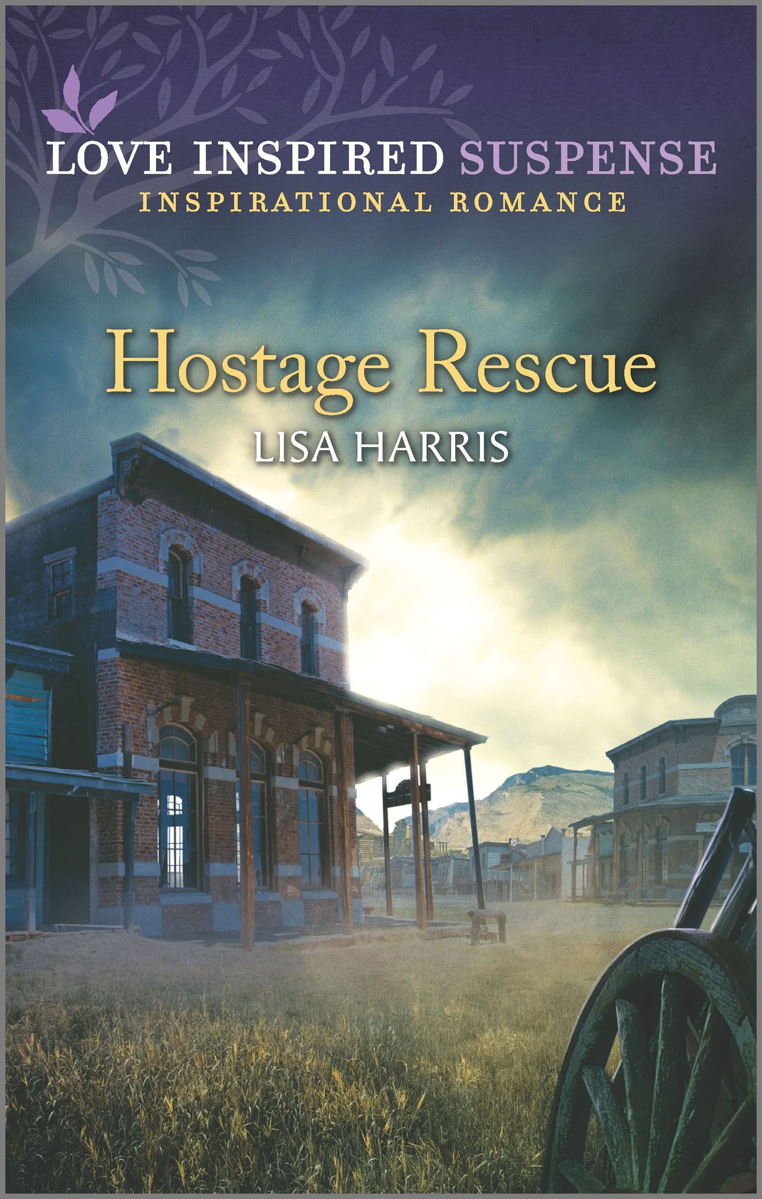 This image is the cover for the book Hostage Rescue