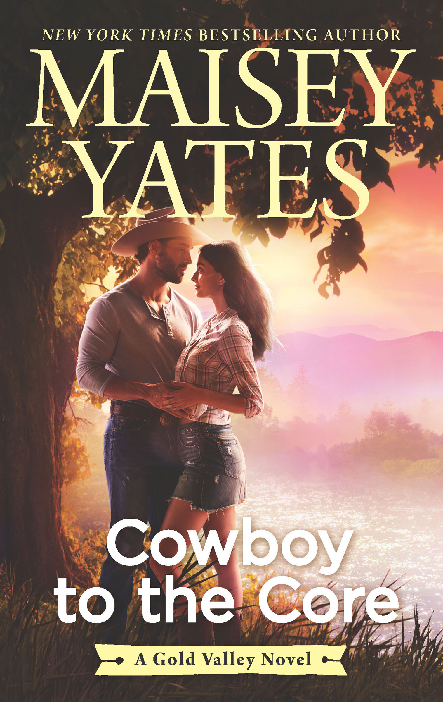 This image is the cover for the book Cowboy to the Core, The Gold Valley Novels