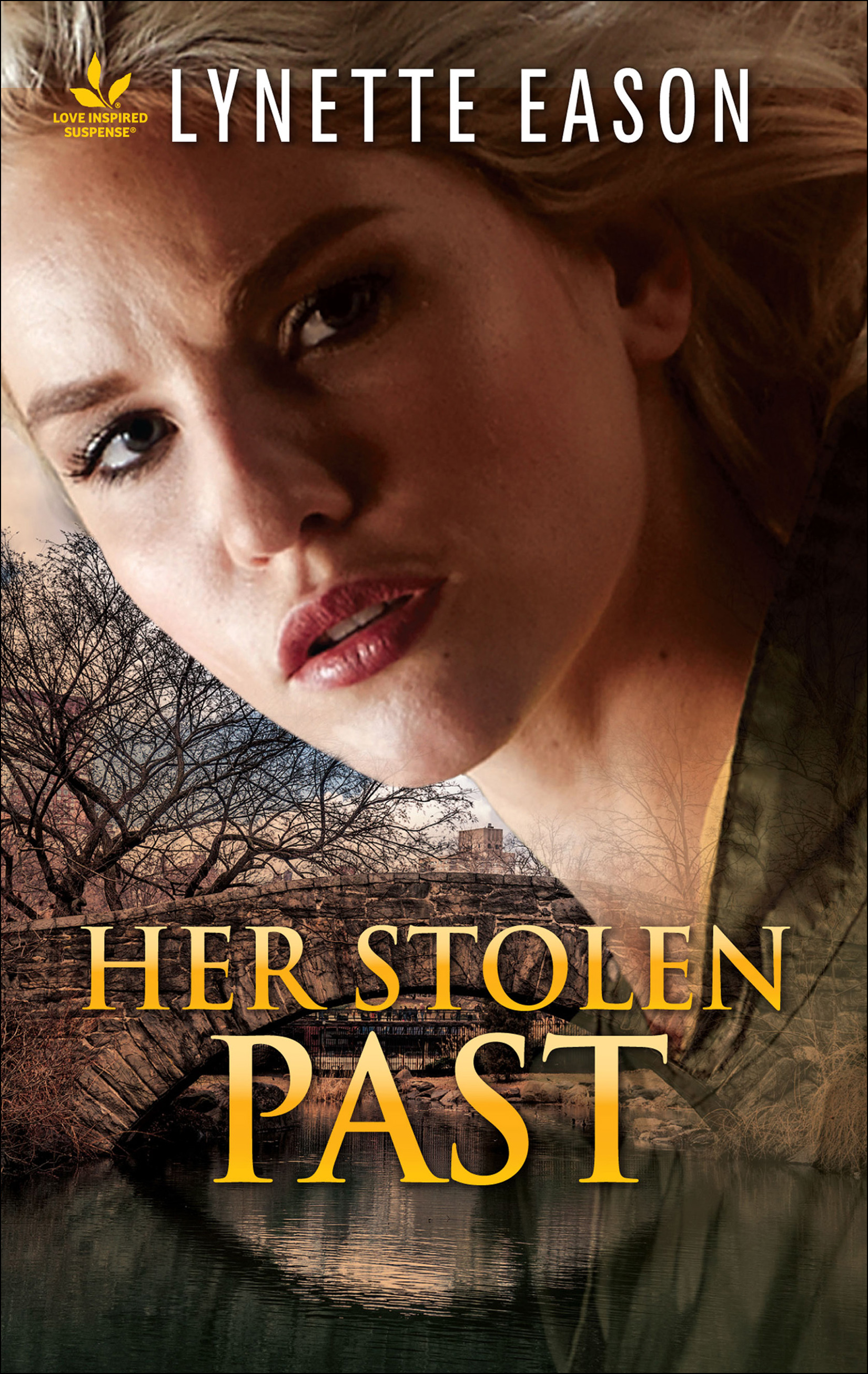 This image is the cover for the book Her Stolen Past, Family Reunions