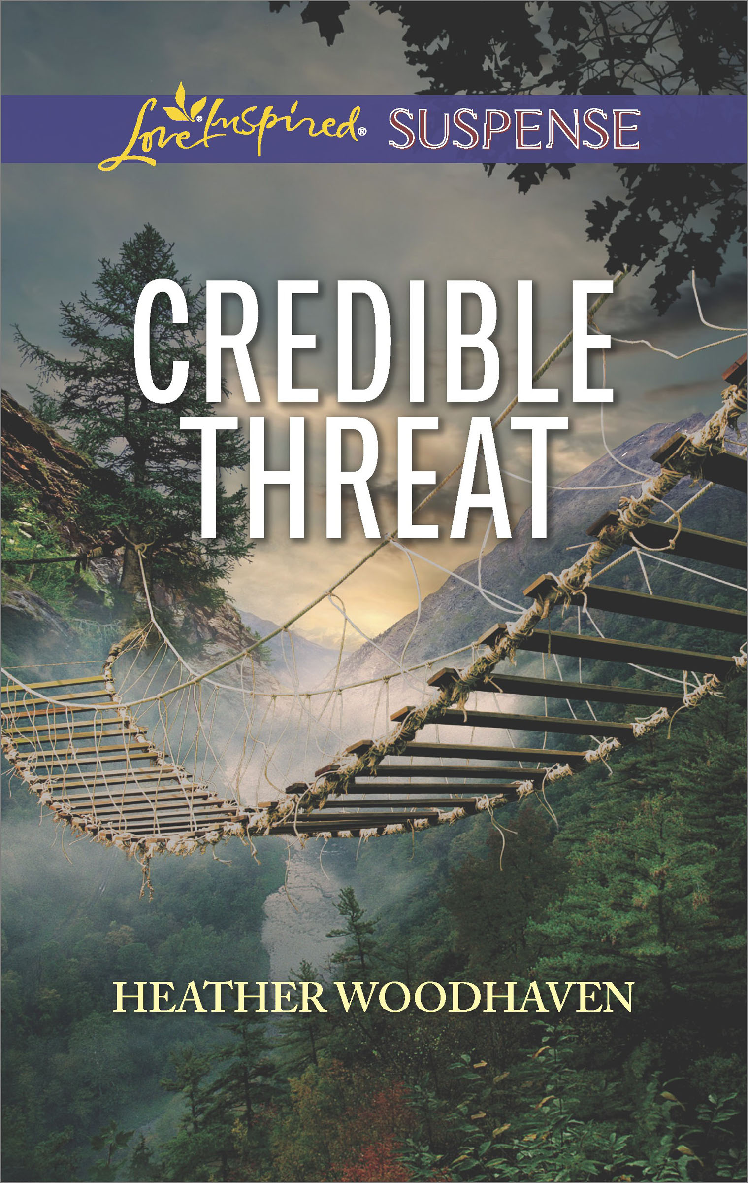This image is the cover for the book Credible Threat
