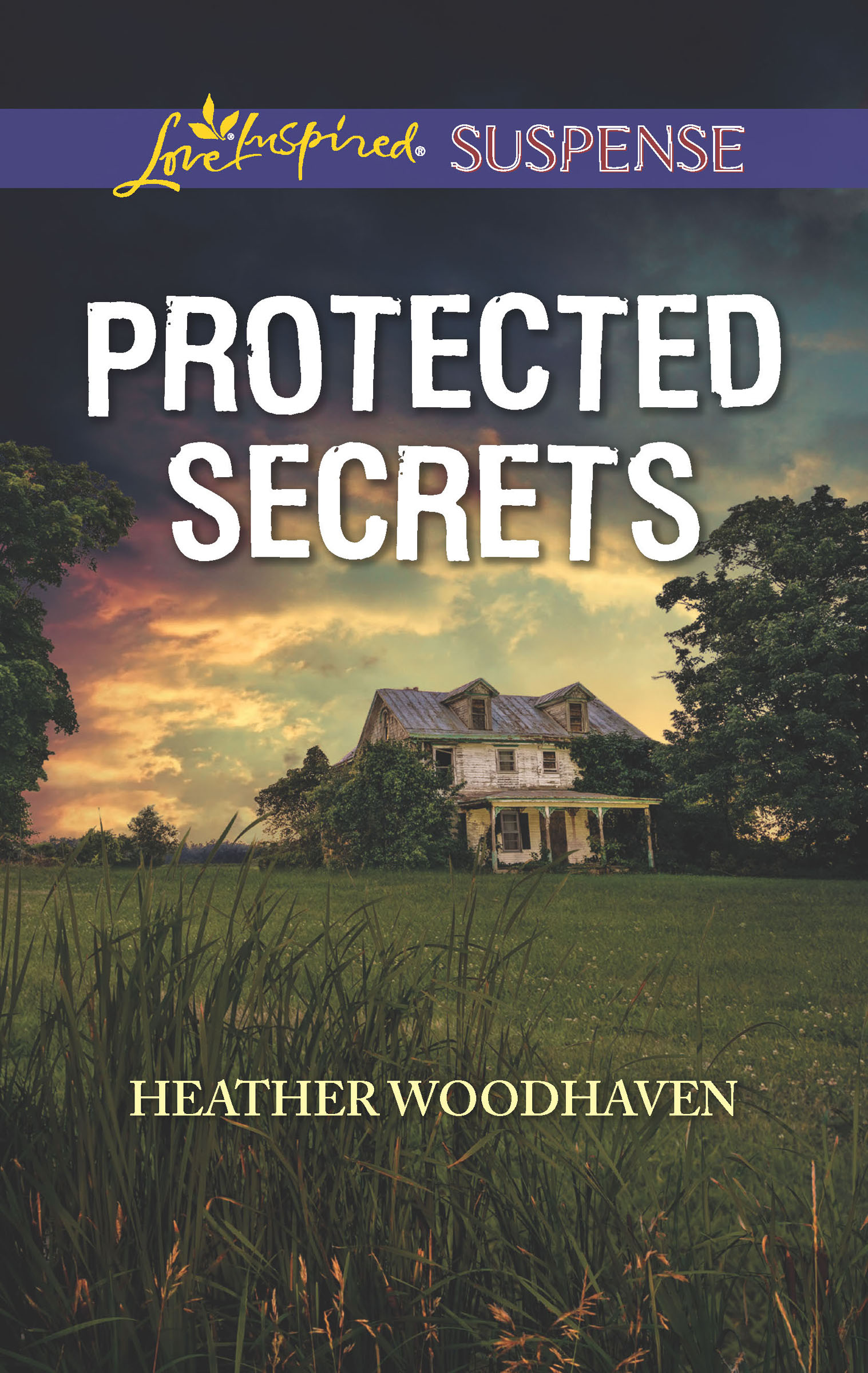 This image is the cover for the book Protected Secrets