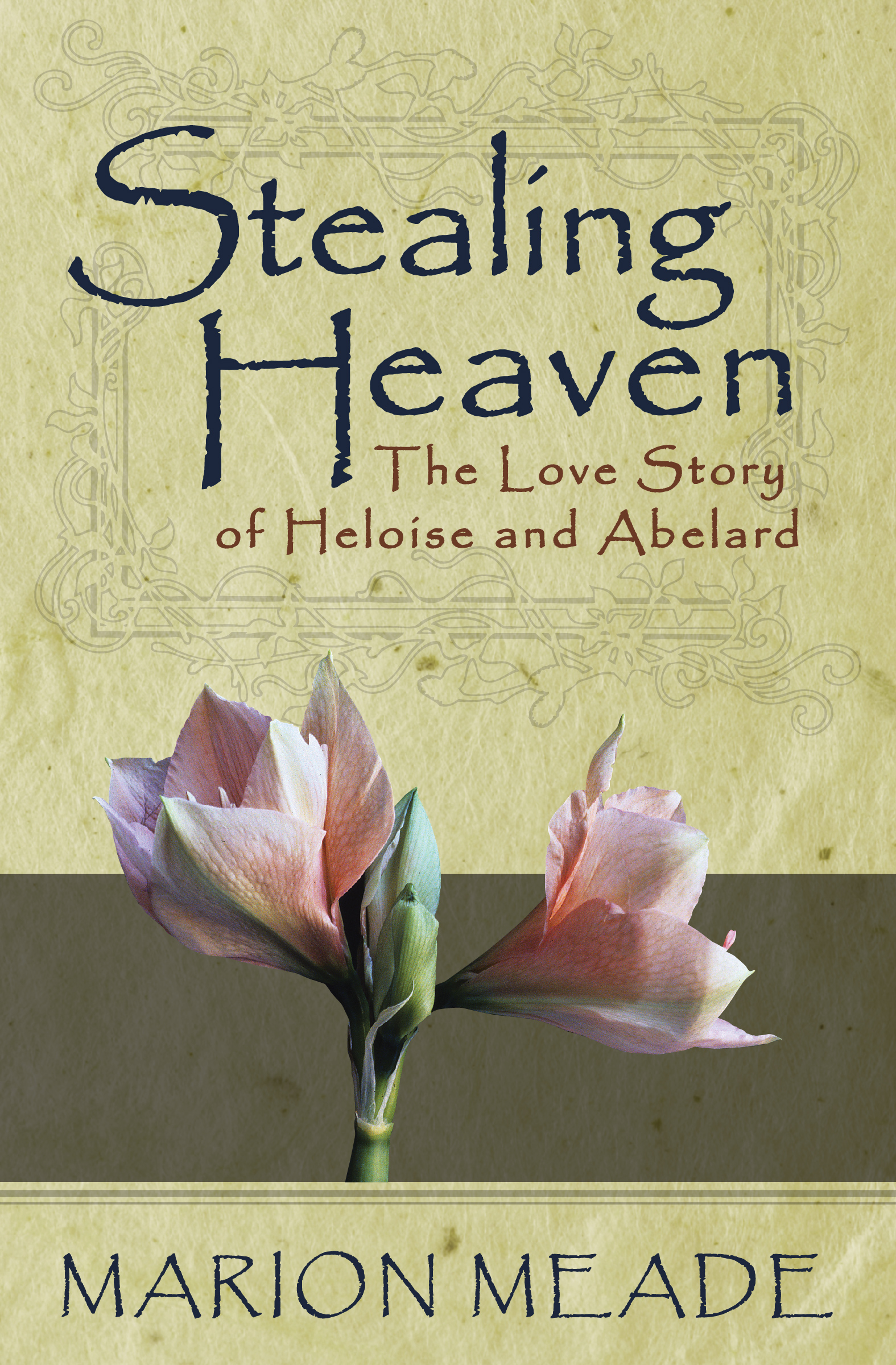 This image is the cover for the book Stealing Heaven