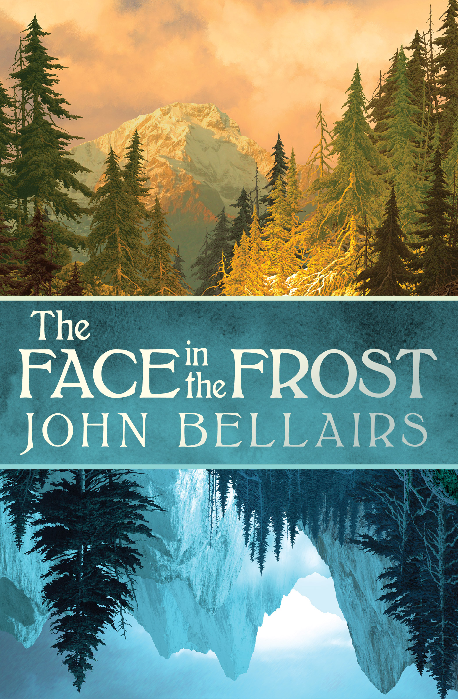 This image is the cover for the book Face in the Frost