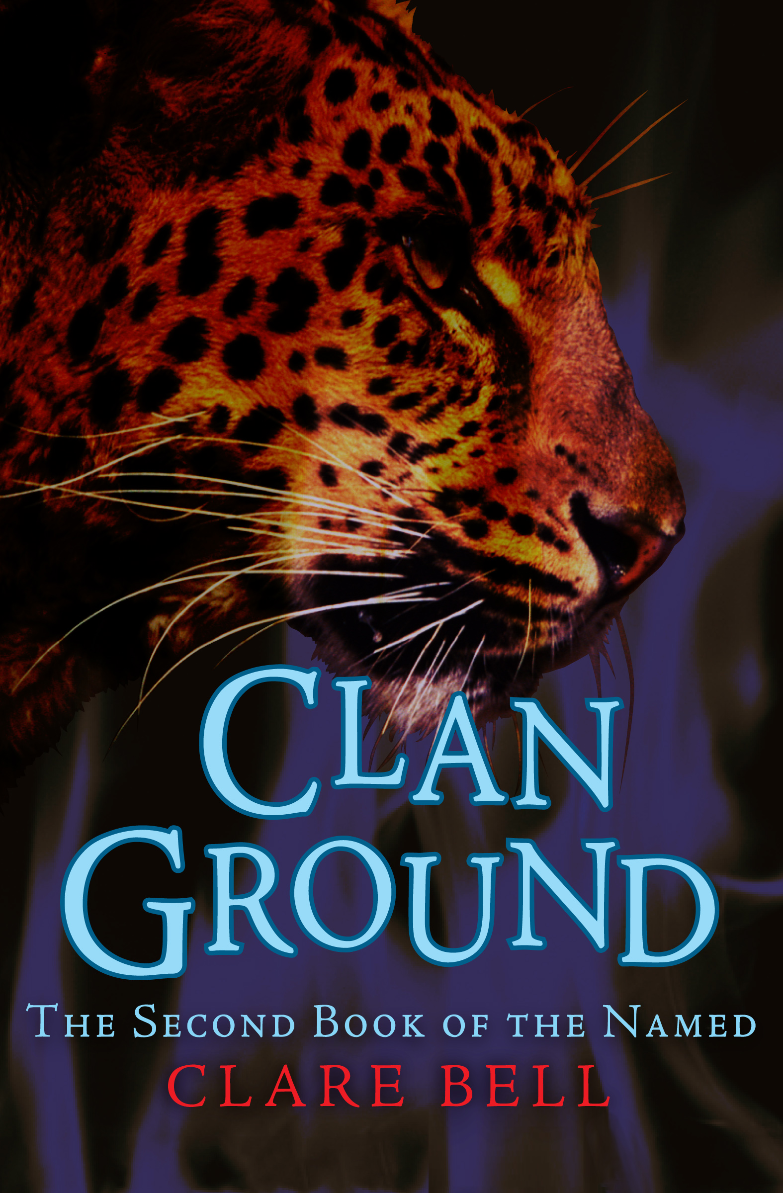 This image is the cover for the book Clan Ground, The Named