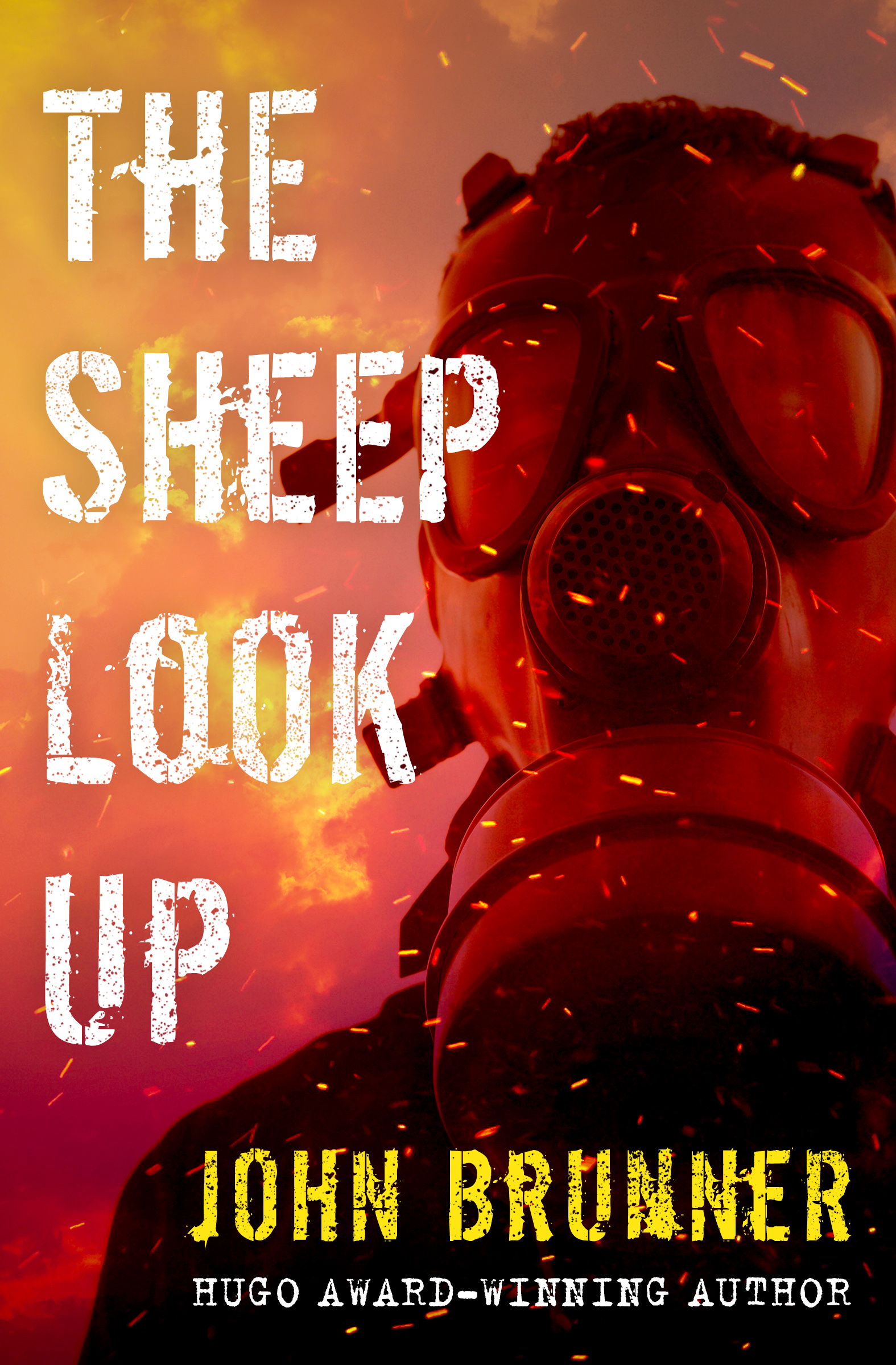 This image is the cover for the book Sheep Look Up