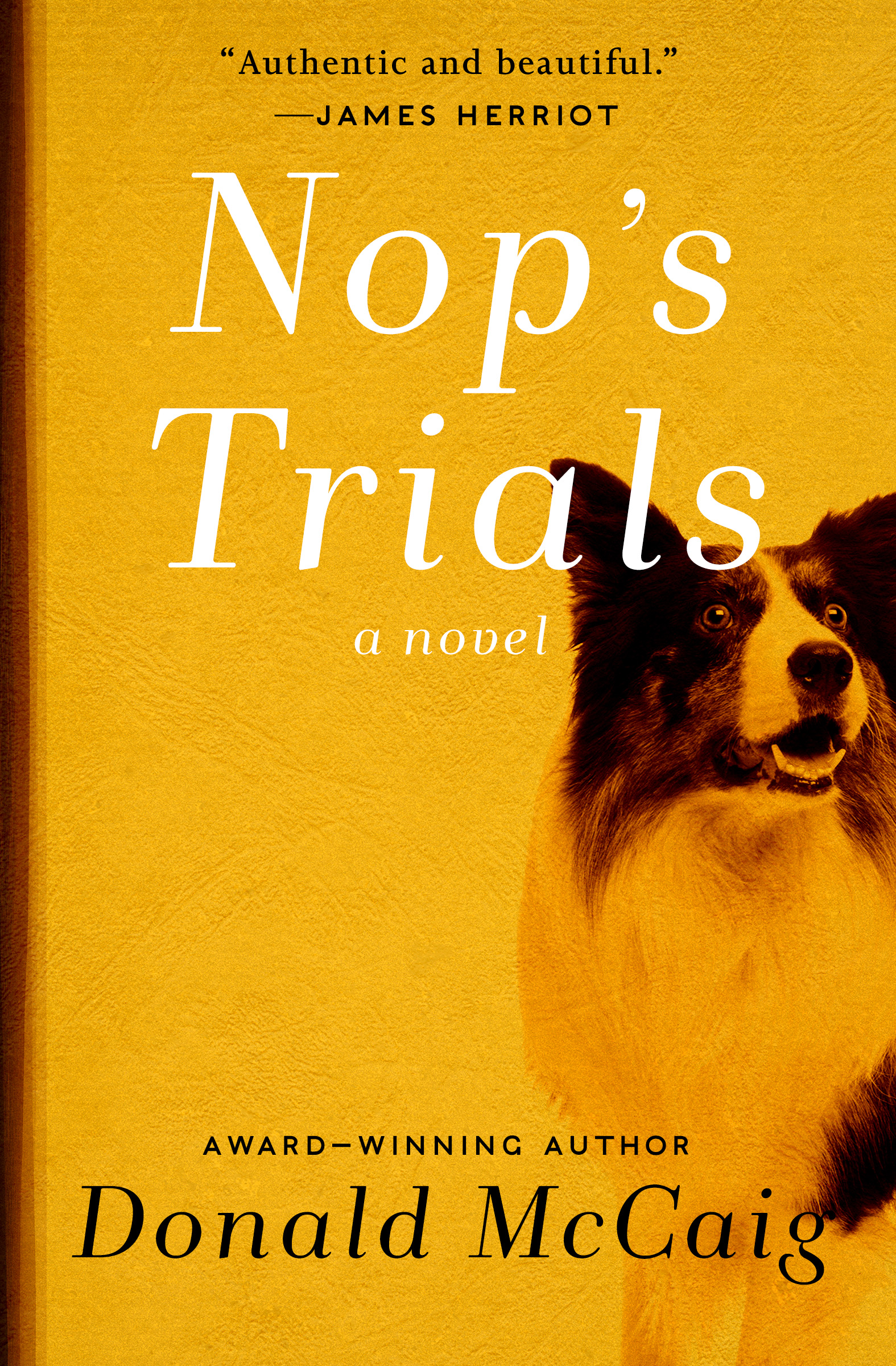 This image is the cover for the book Nop's Trials