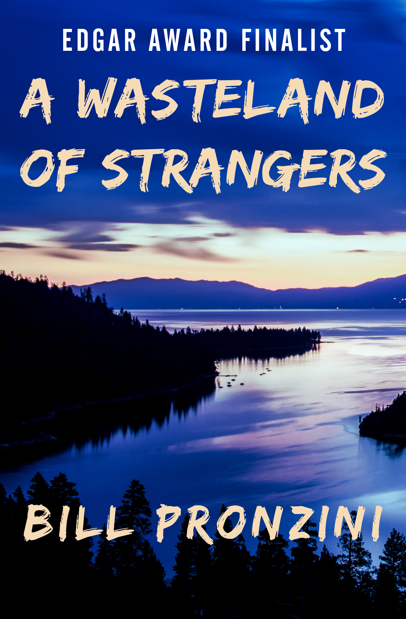 This image is the cover for the book Wasteland of Strangers