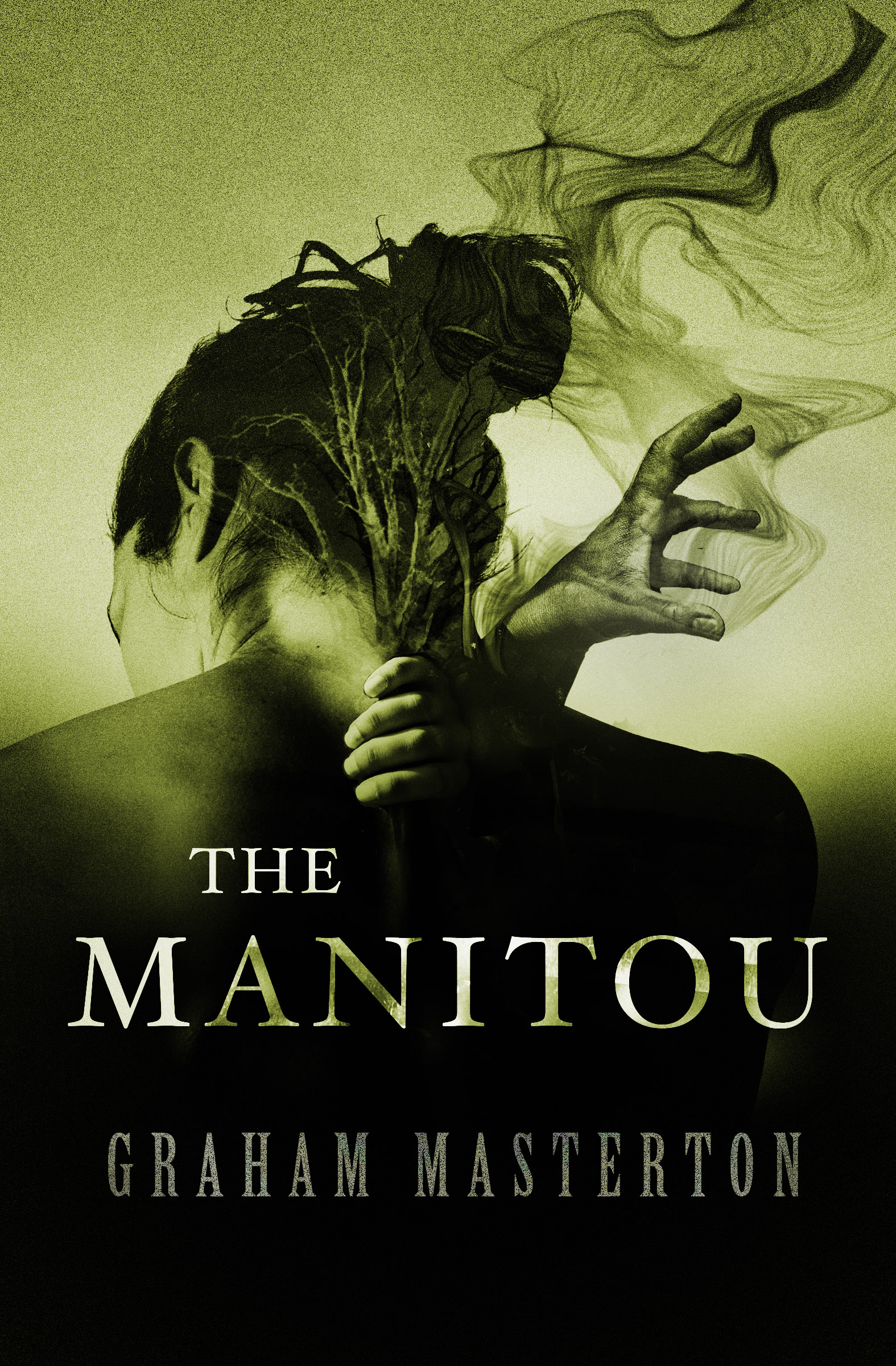 This image is the cover for the book Manitou